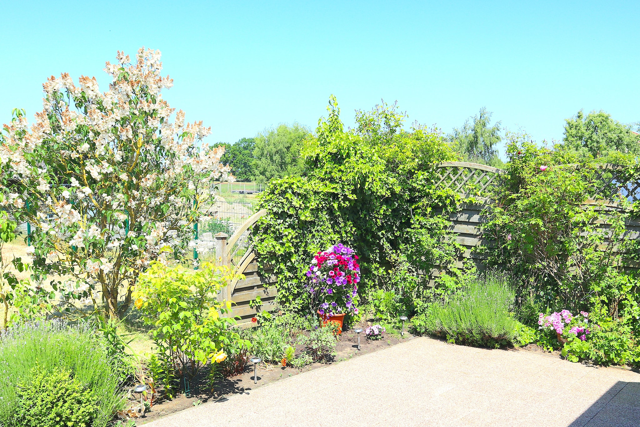 Schönes Ferienhaus in Alt Bukow Gaida - Tuinen zomer
