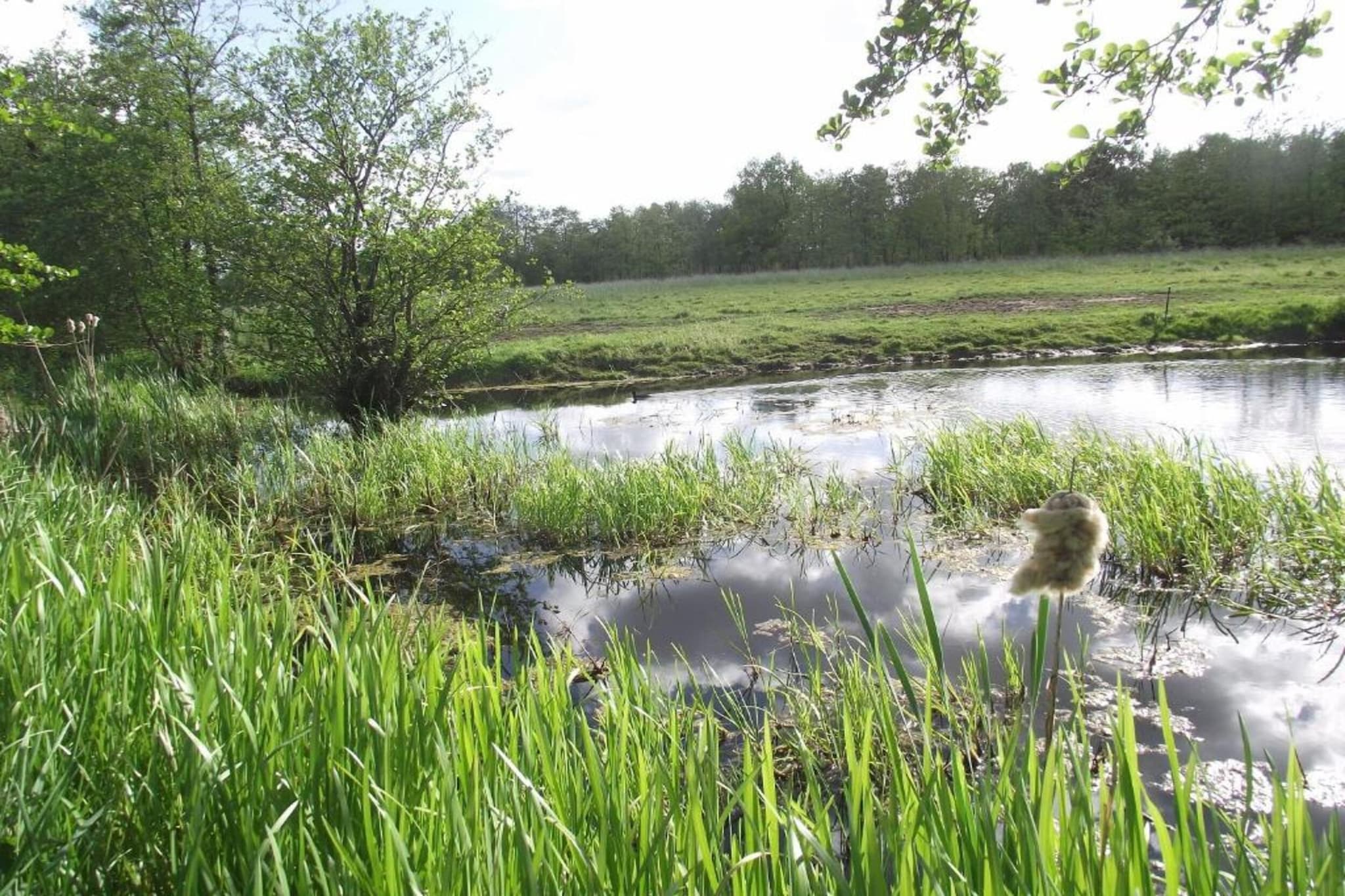 Twee safaritenten "Noflik" & "Gaadlik" naast elkaar-Gebieden zomer 5km