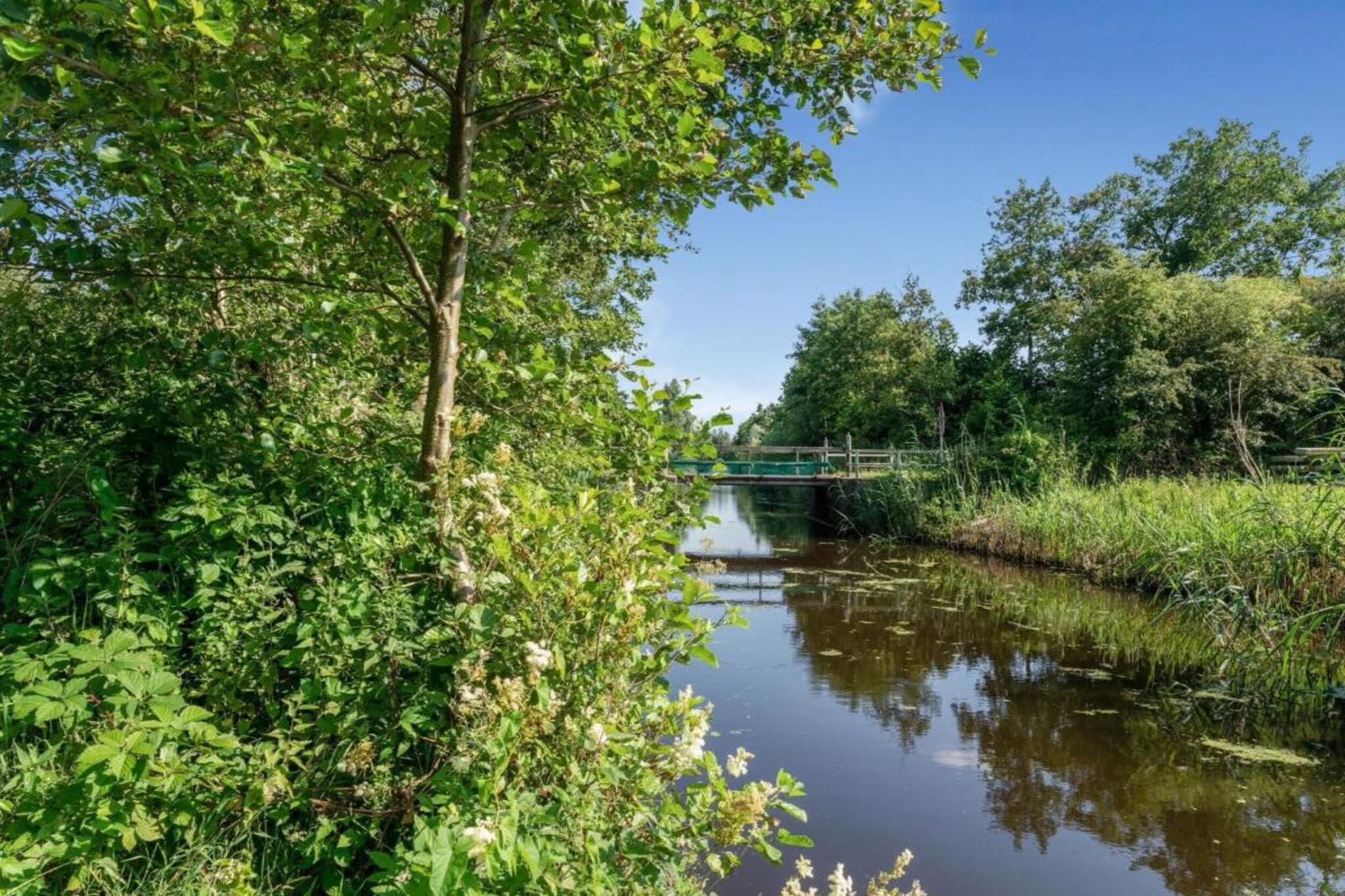 Twee safaritenten "Noflik" & "Gaadlik" naast elkaar-Gebieden zomer 5km