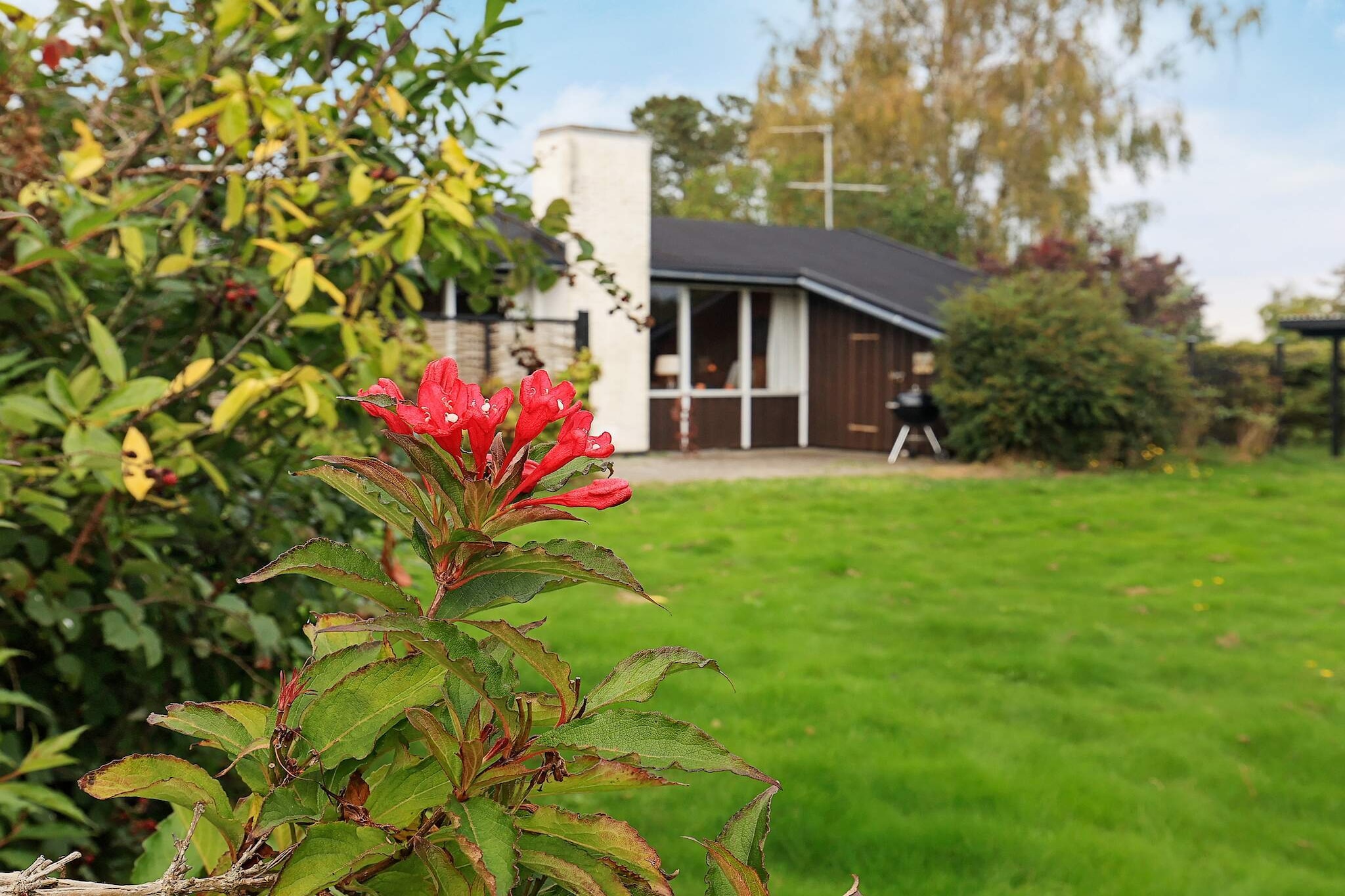 4 person holiday home in Frørup-By Traum - Outdoor
