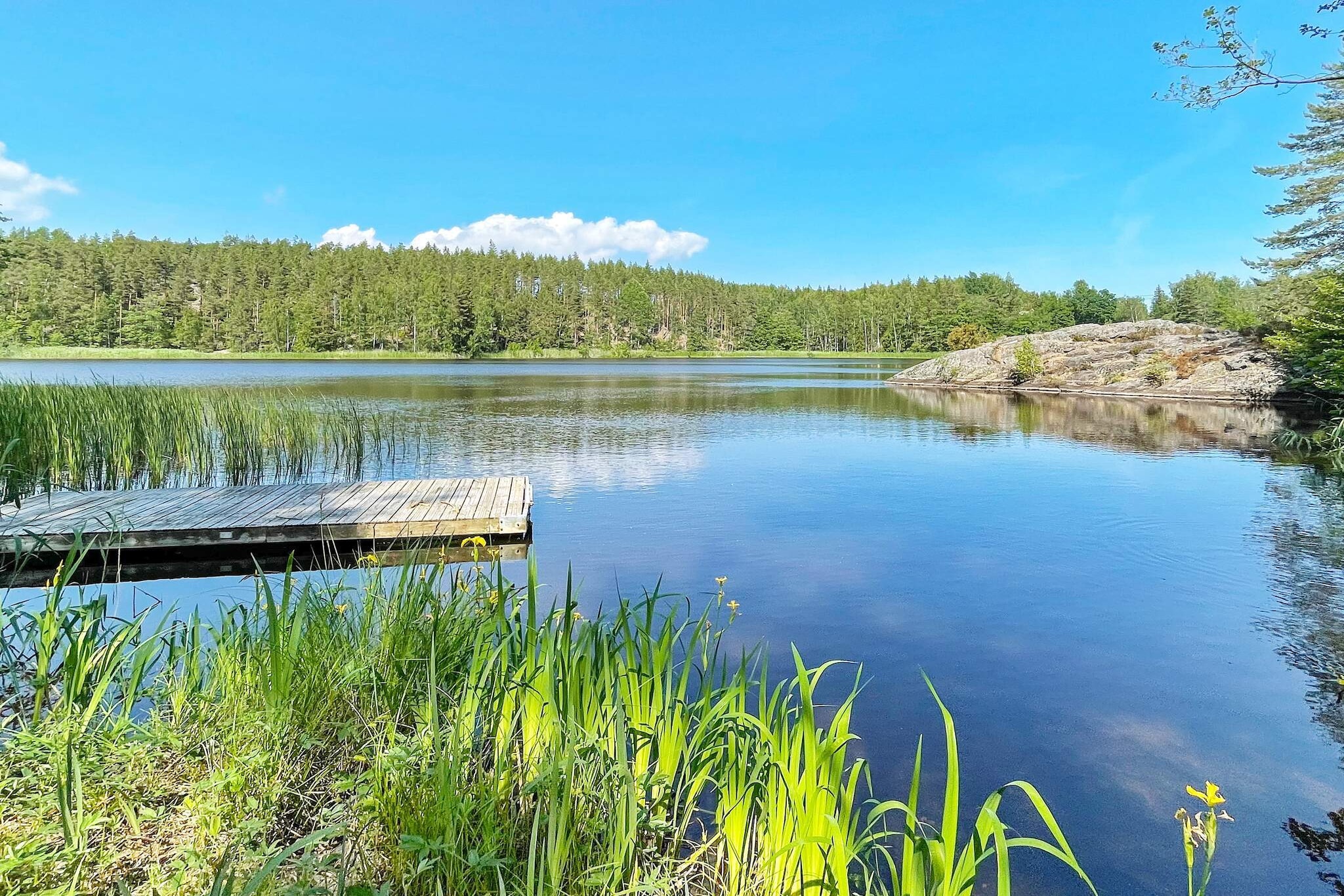 Water View