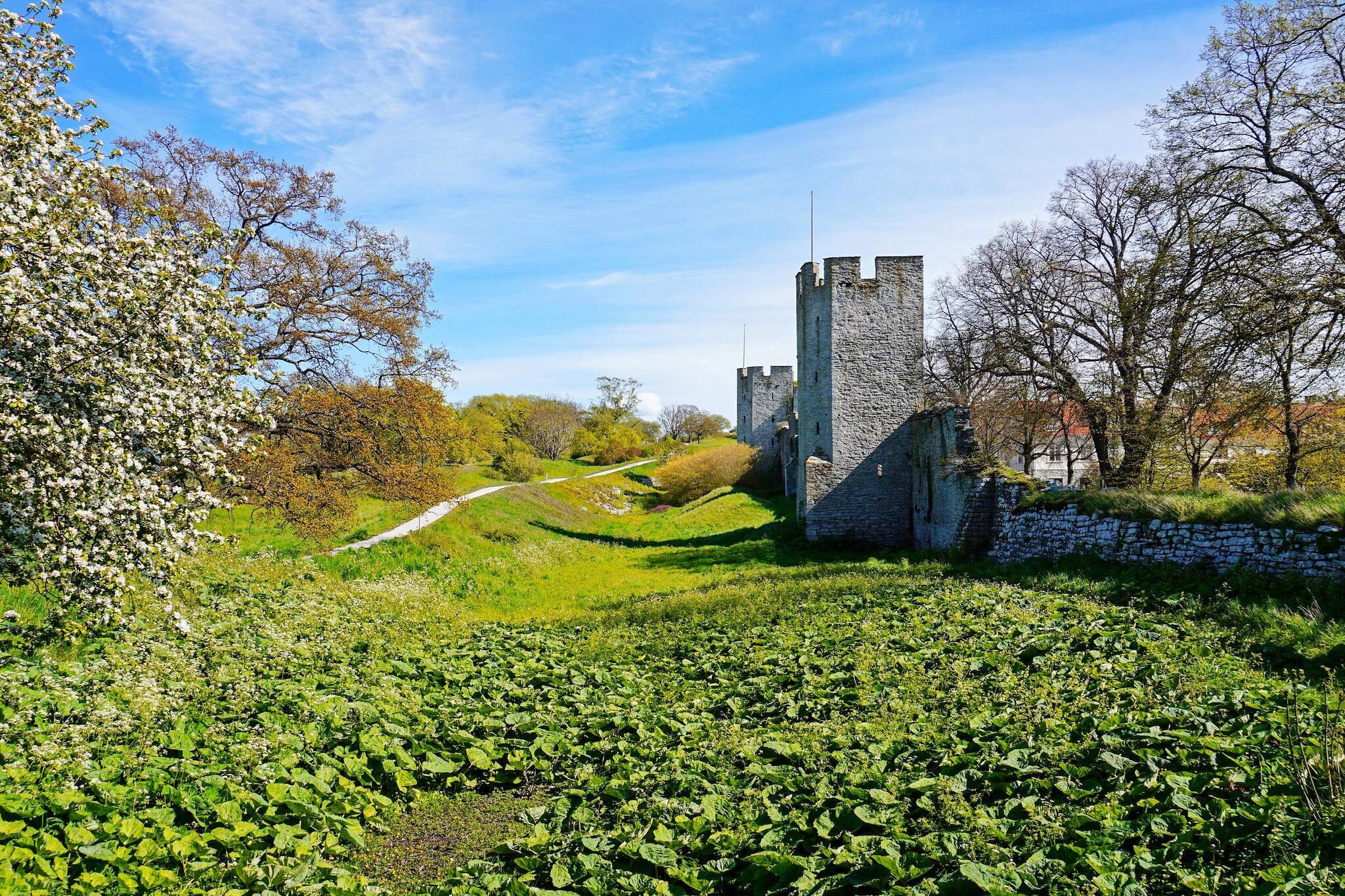 Maison de vacances pour 5 a VISBY-By Traum - Non tagué