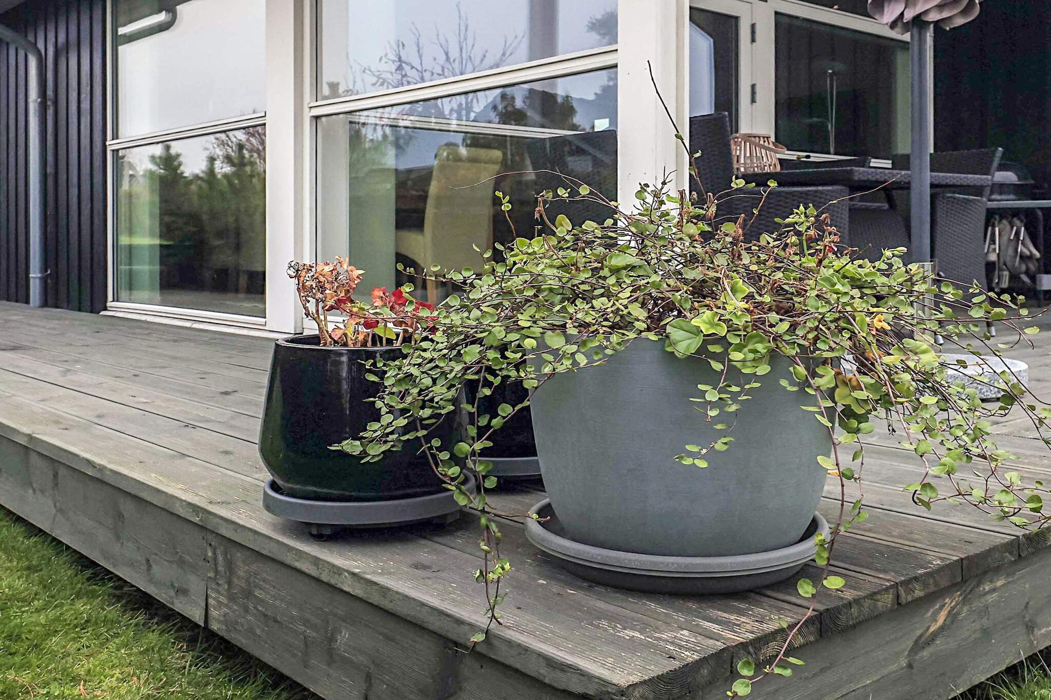 8 persoons vakantie huis in Bogense-By Traum - Uitzicht