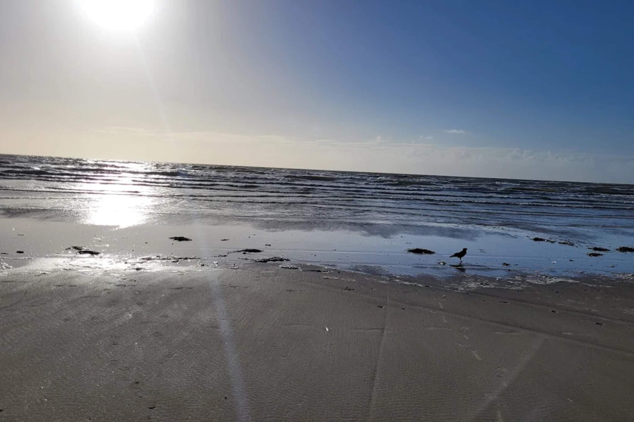 4 persoons vakantie huis in Blåvand-By Traum