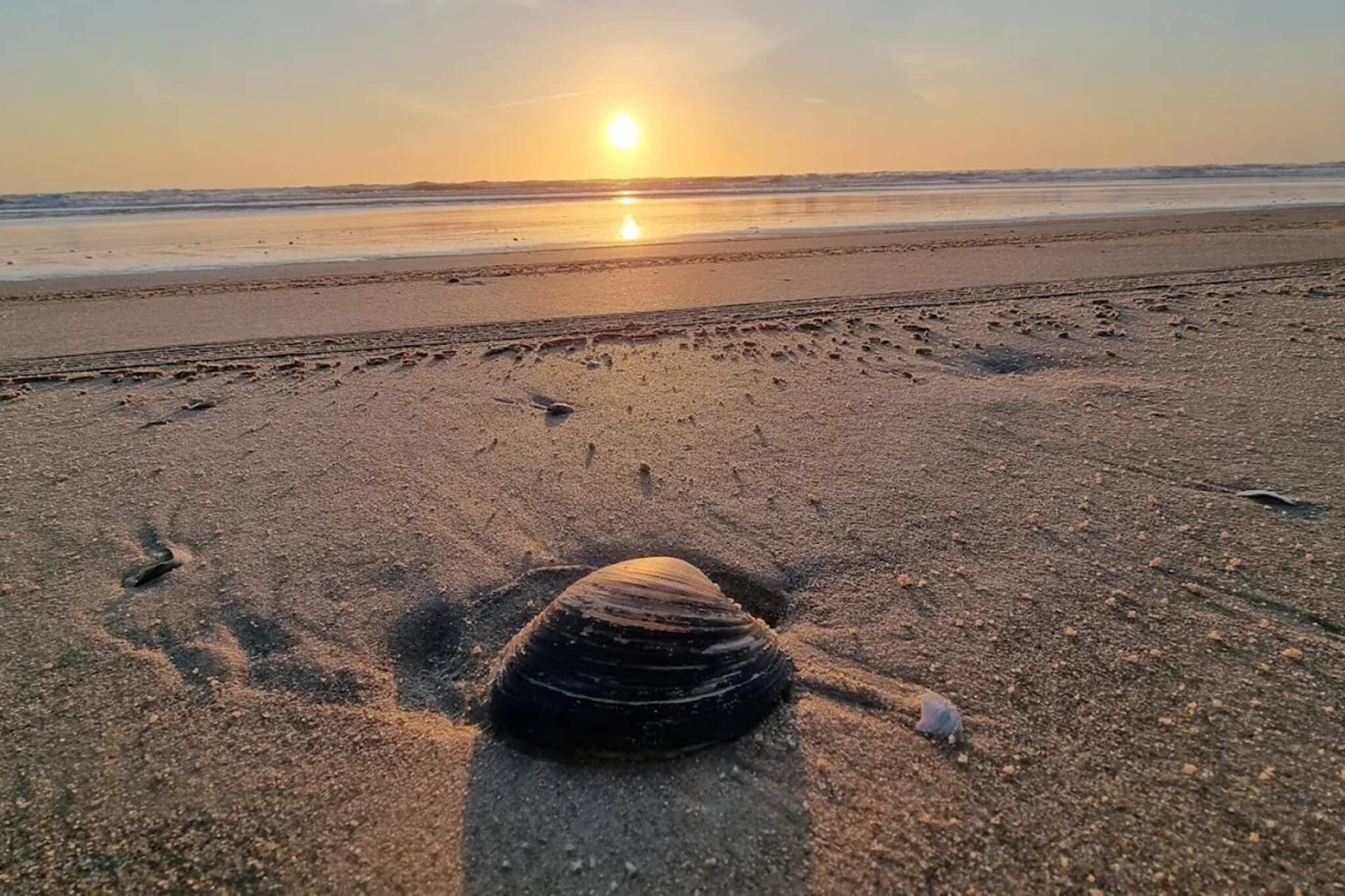 4 persoons vakantie huis in Blåvand-By Traum - Waterzicht