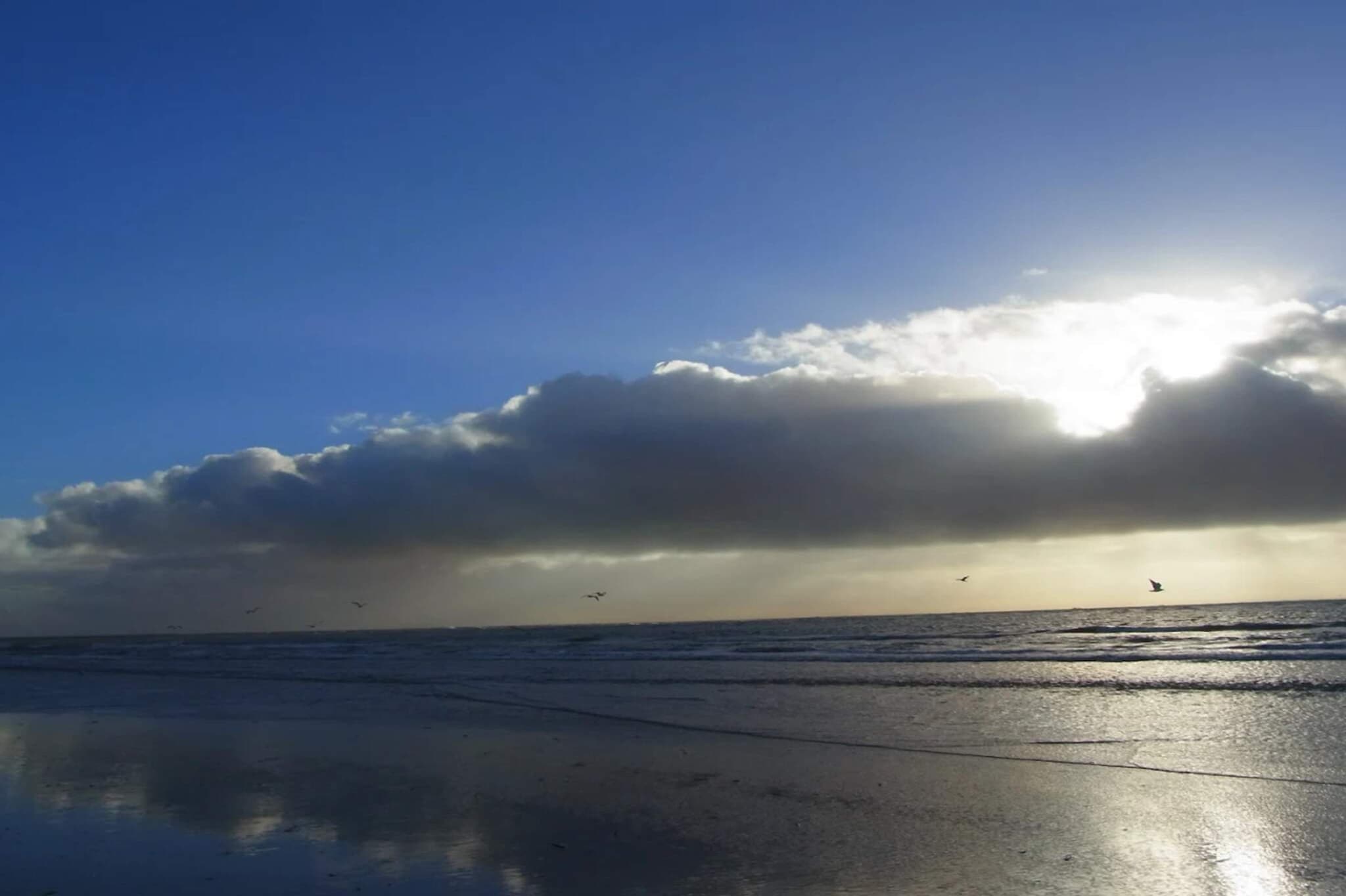 4 persoons vakantie huis in Blåvand-By Traum - Waterzicht