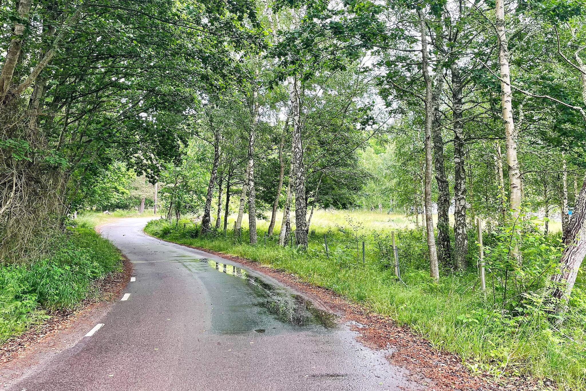 4 persoons vakantie huis in Drottningskär-By Traum - Niet-getagd