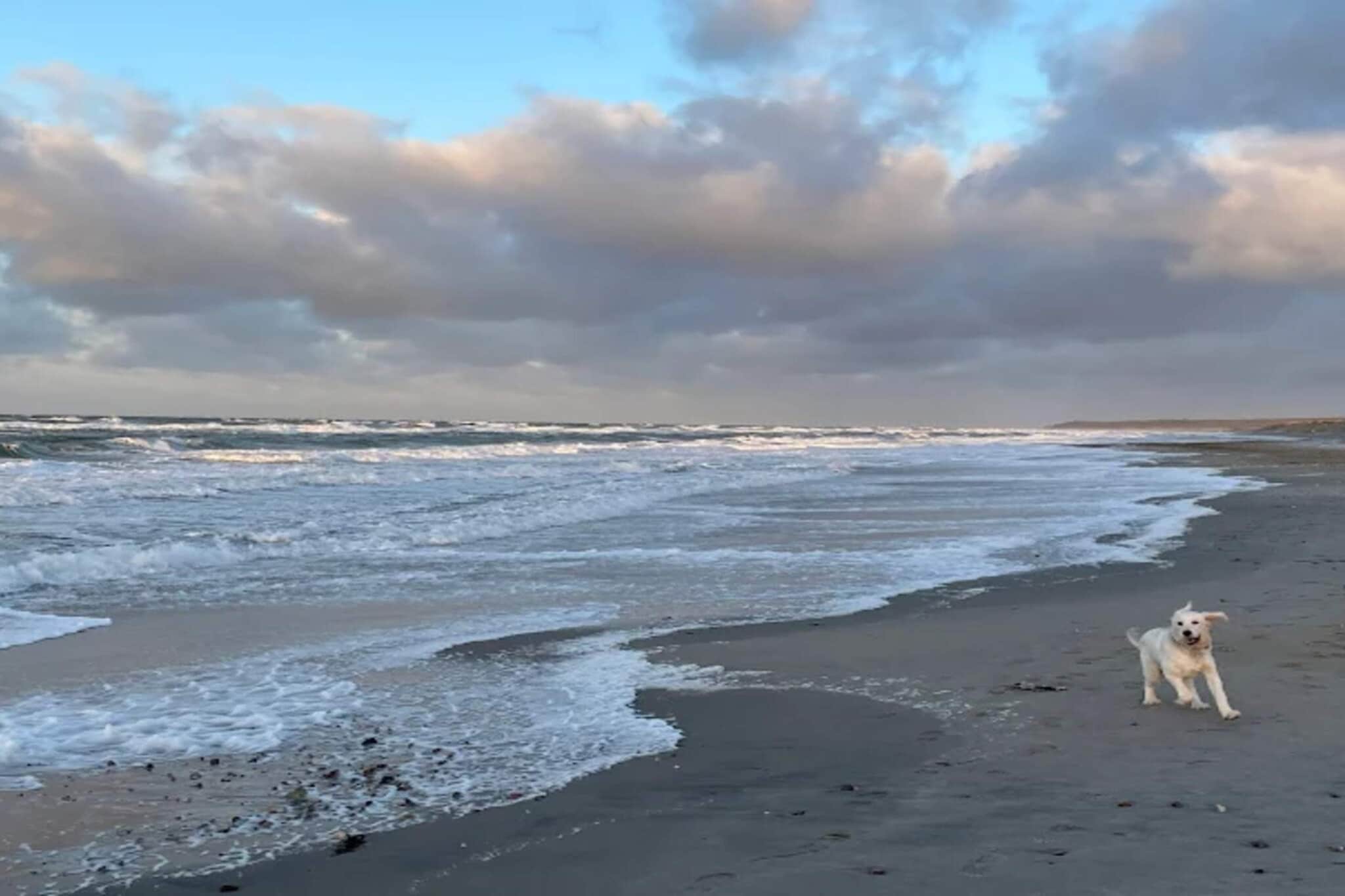 8 persoons vakantie huis in Melby - Waterzicht