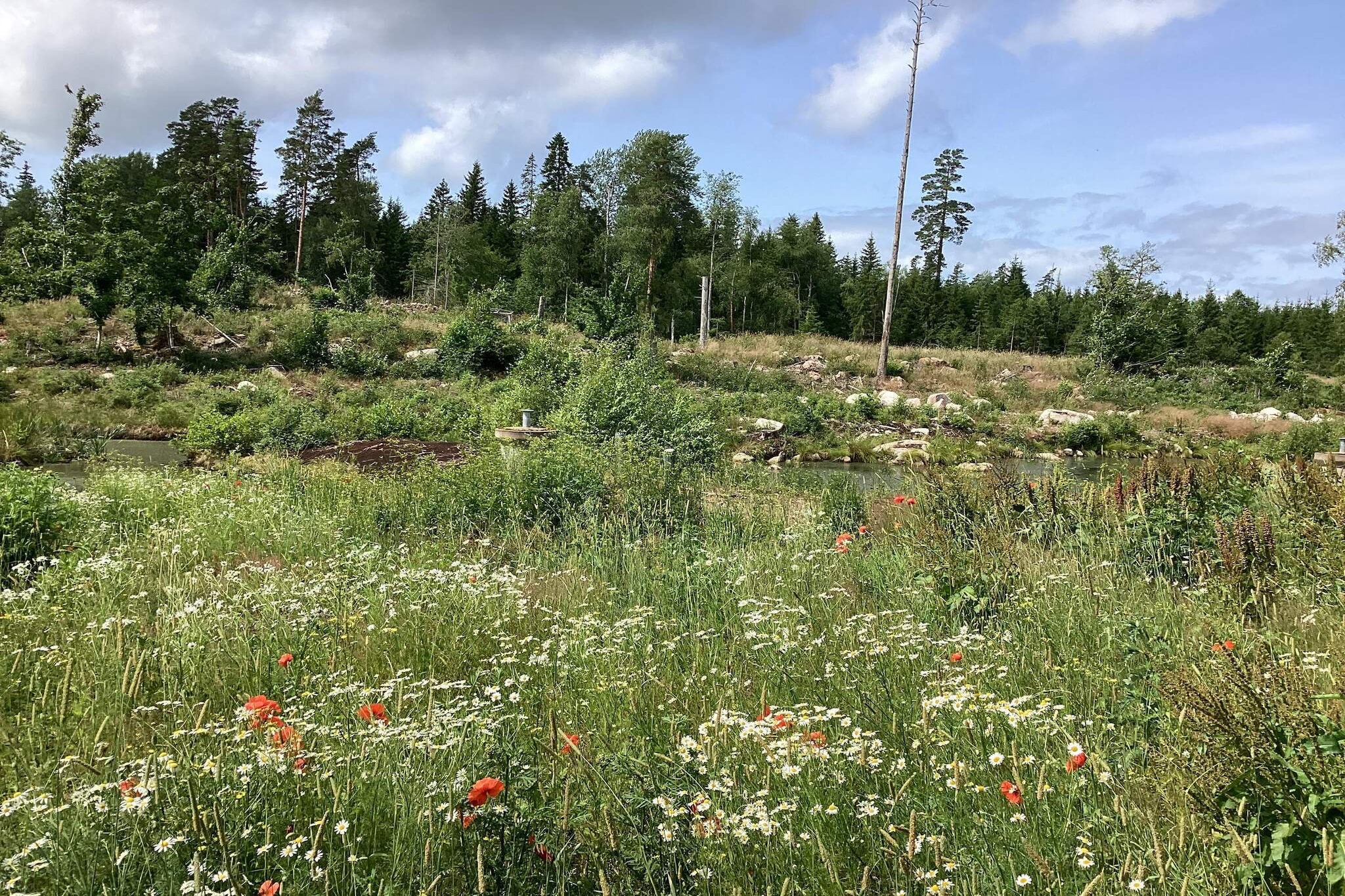 4 persoons vakantie huis in TRANÅS-By Traum - Buitenlucht