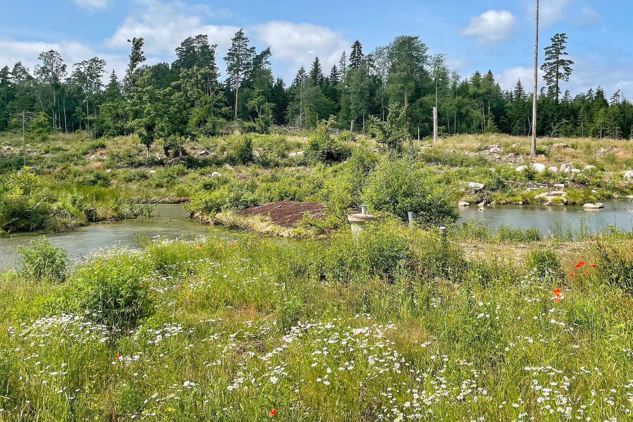 4 persoons vakantie huis in TRANÅS-By Traum - Niet-getagd