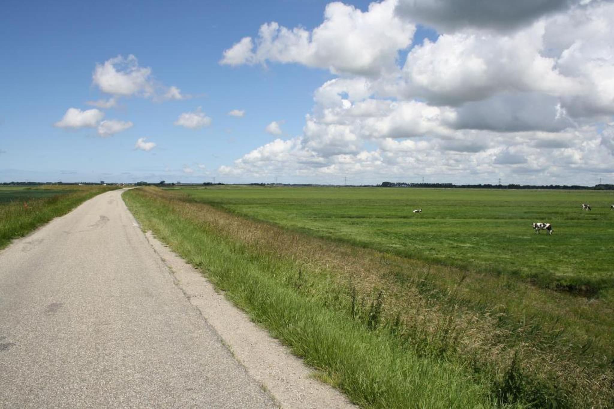 Unique 22 - Areas within 20km in summer
