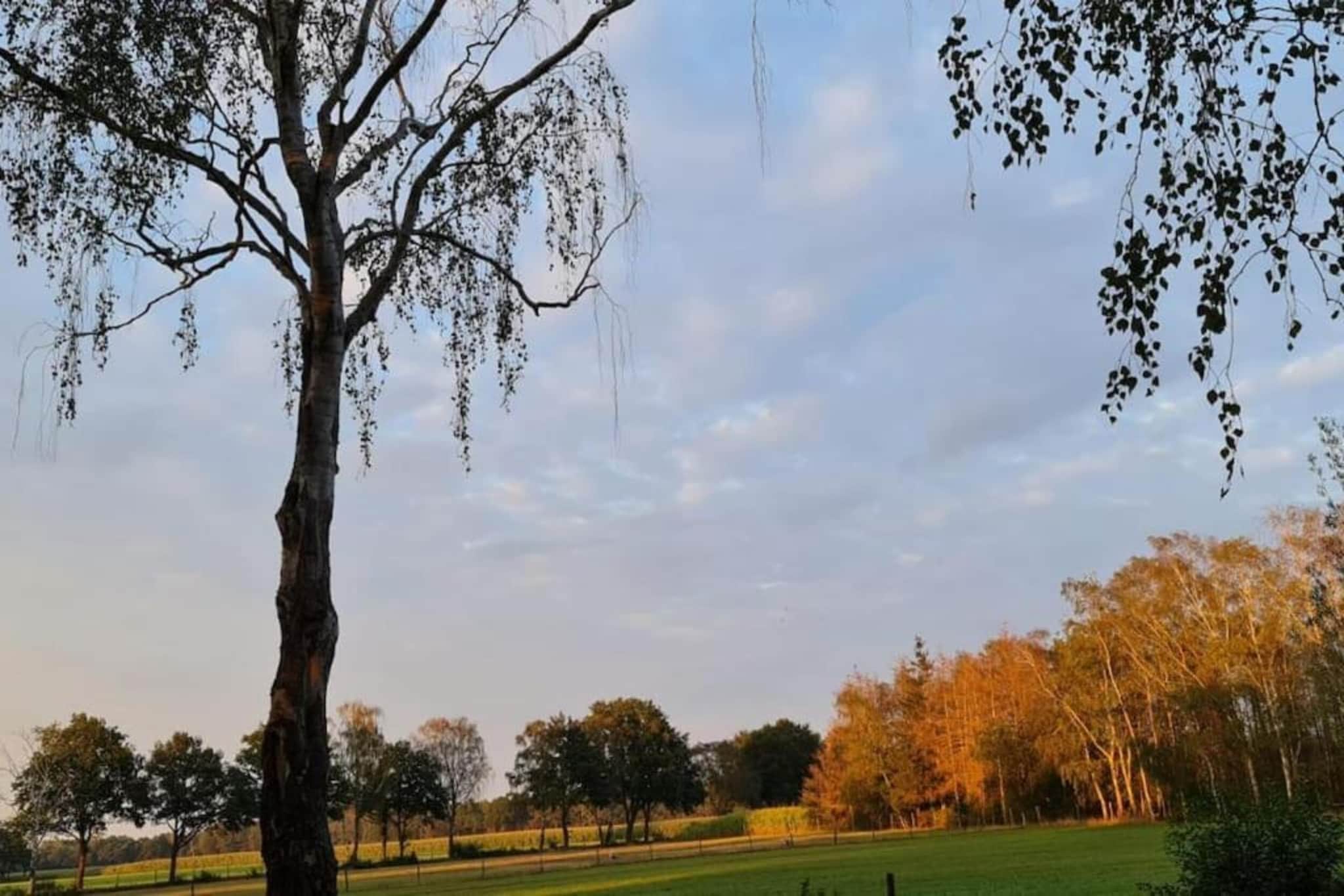 De Weelderik 3-Areas summer 20km