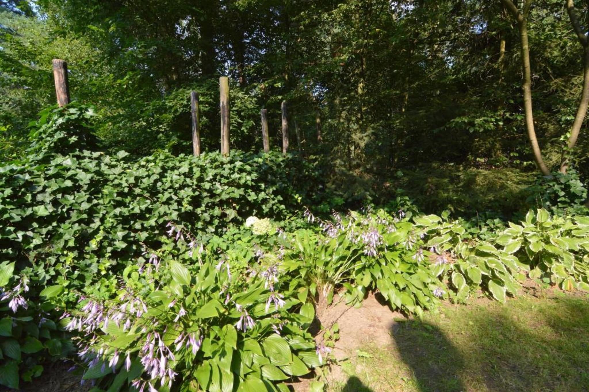 De Weelderik 3-Areas summer 20km