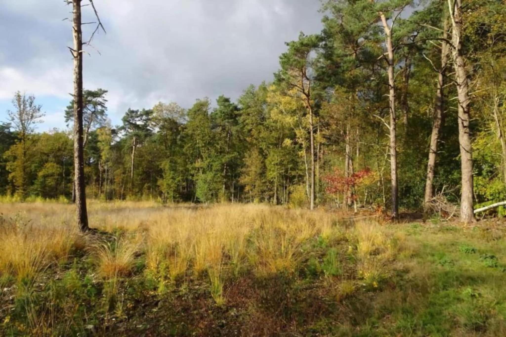 De Weelderik 3-Areas summer 20km