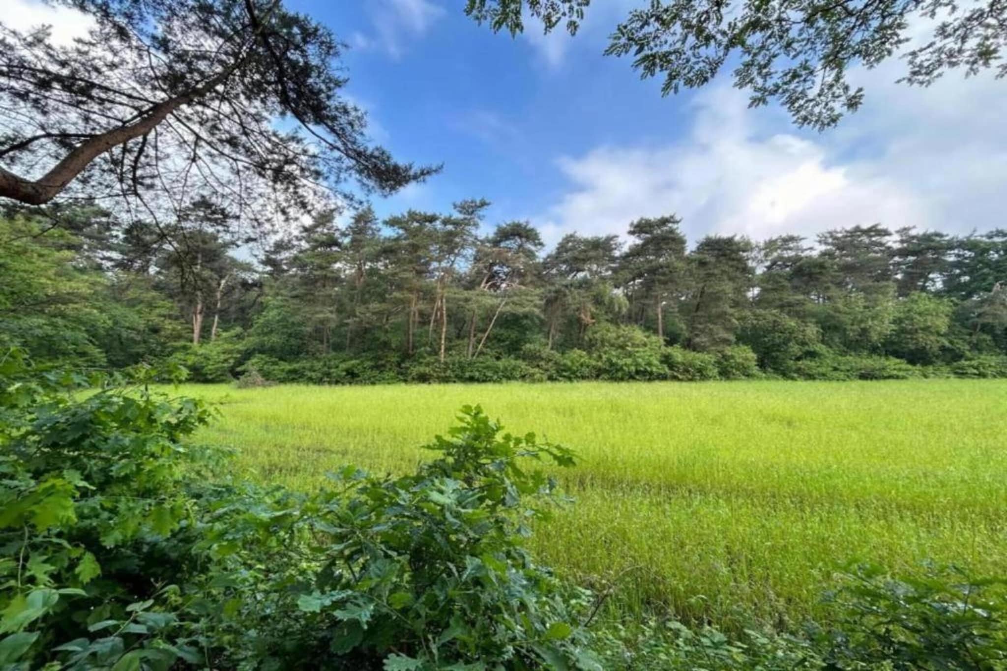 De Weelderik 3-Areas summer 20km
