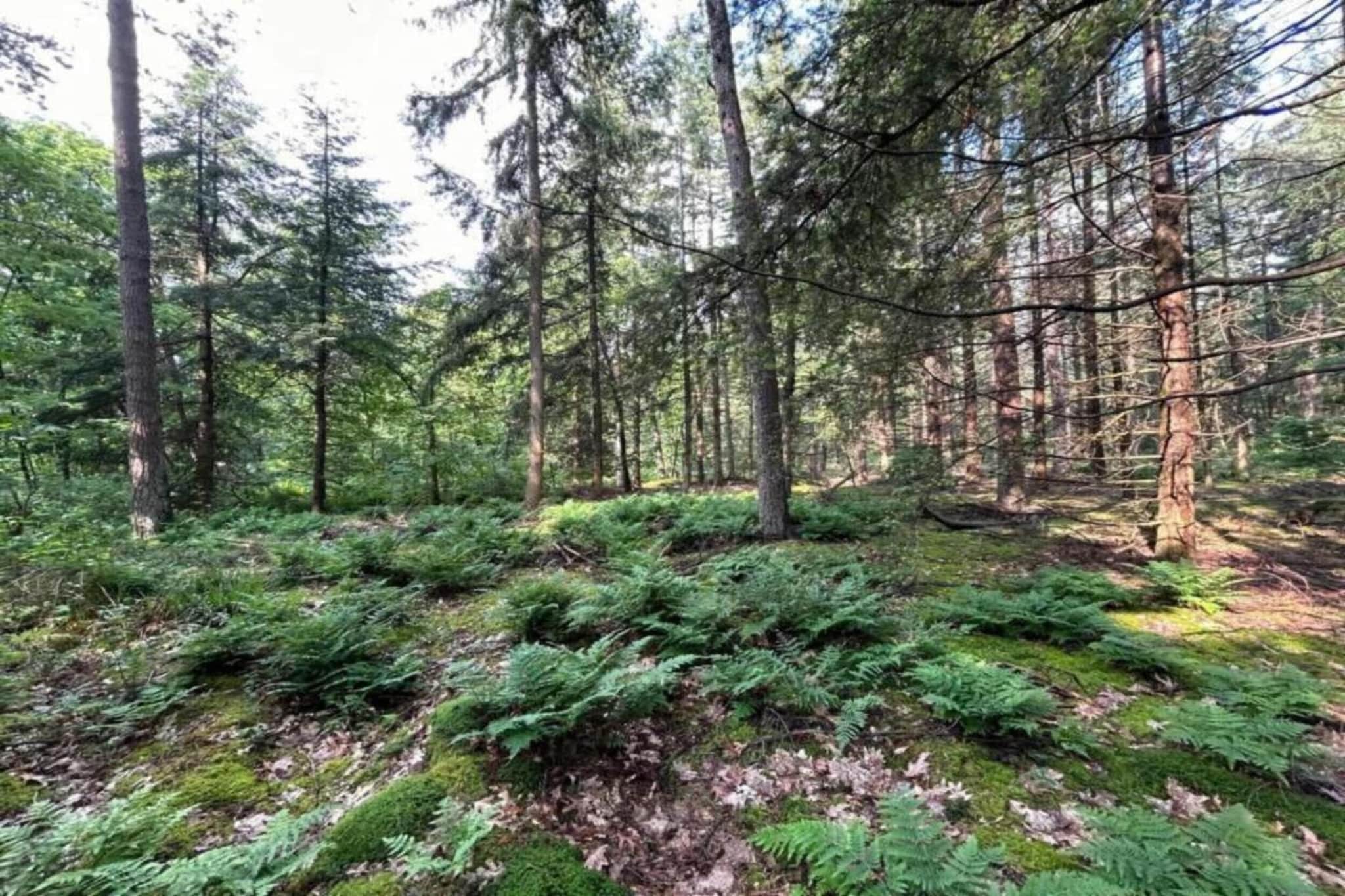 De Weelderik 3-Areas summer 20km