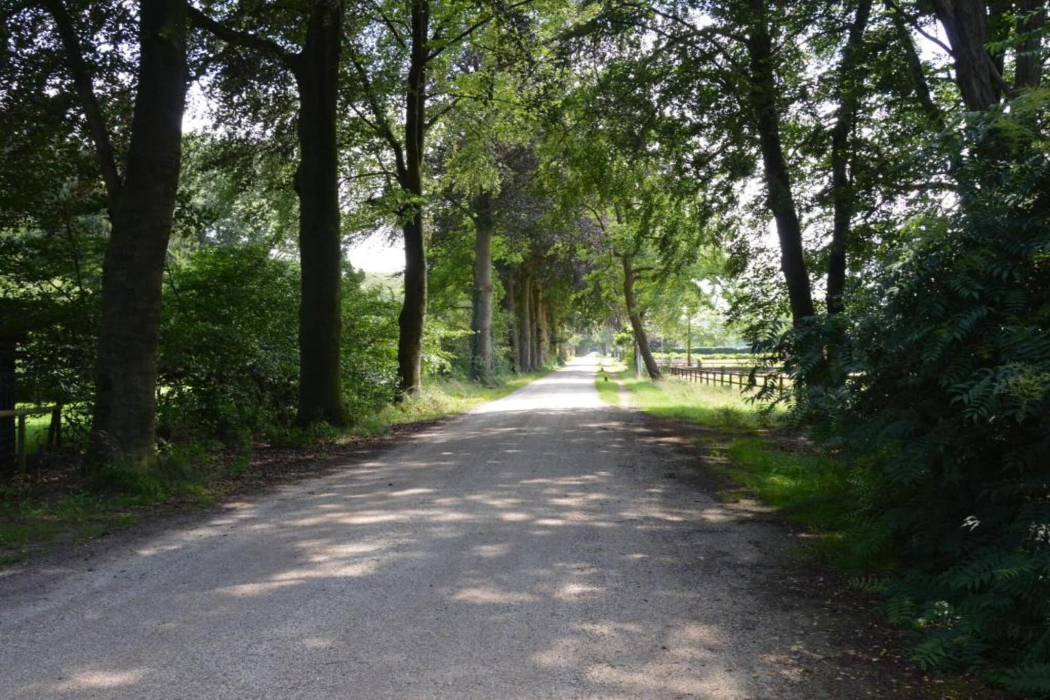 De Weelderik 3-Areas summer 20km