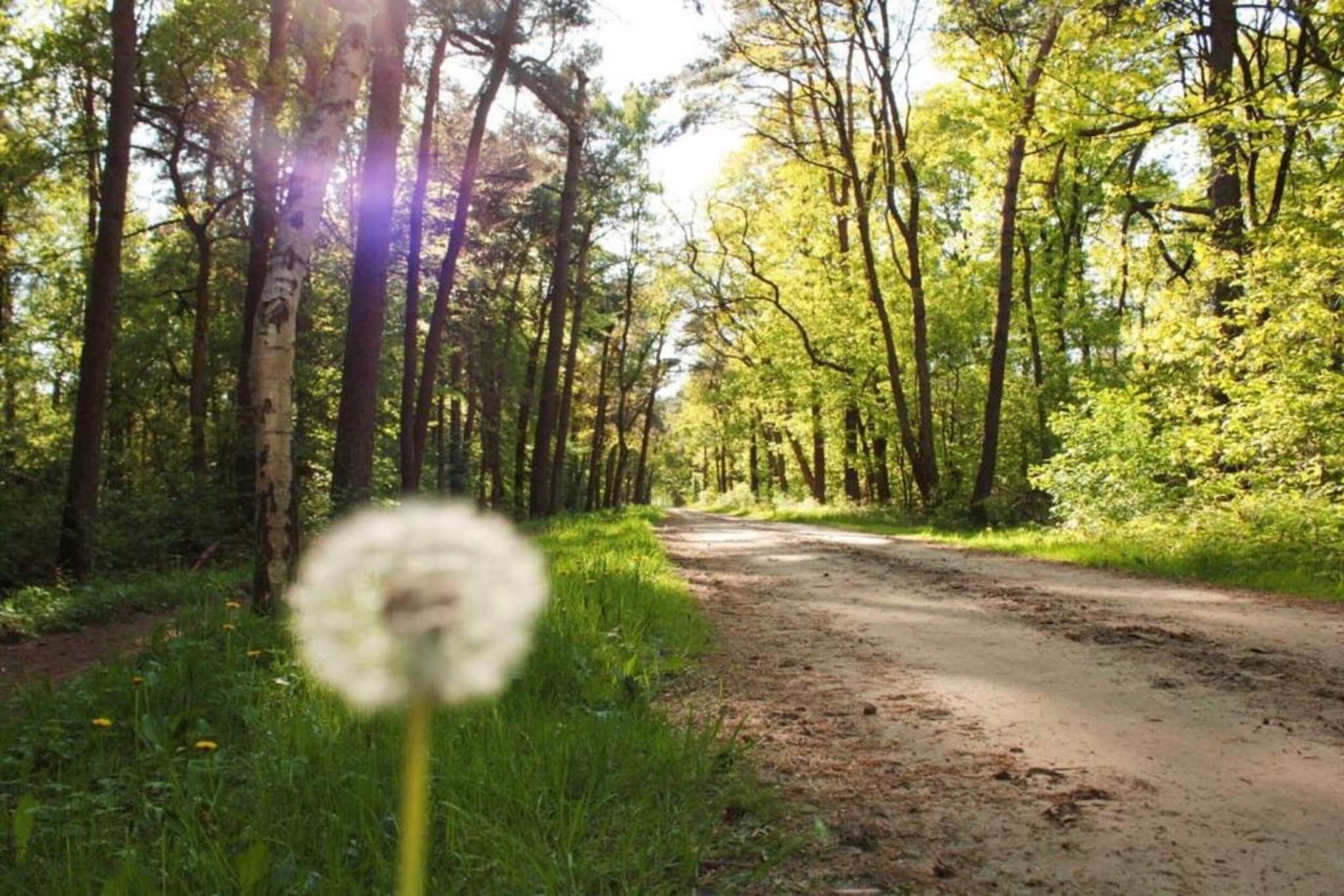 De Weelderik 3-Areas summer 20km