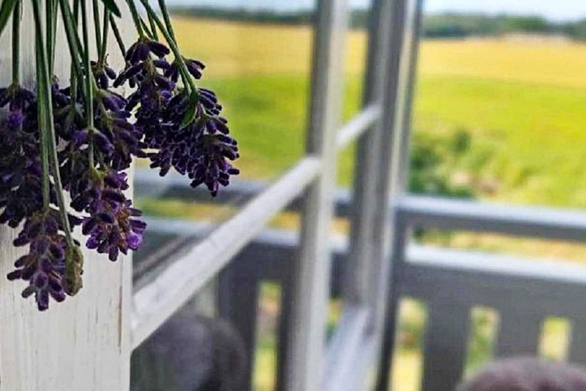6 persoons vakantie huis in MELLERUD-By Traum - Niet-getagd