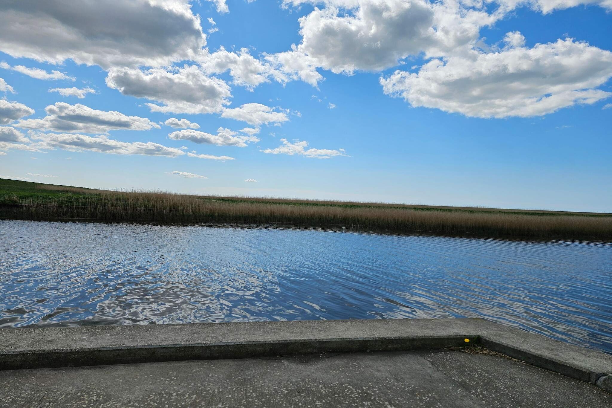 Water View