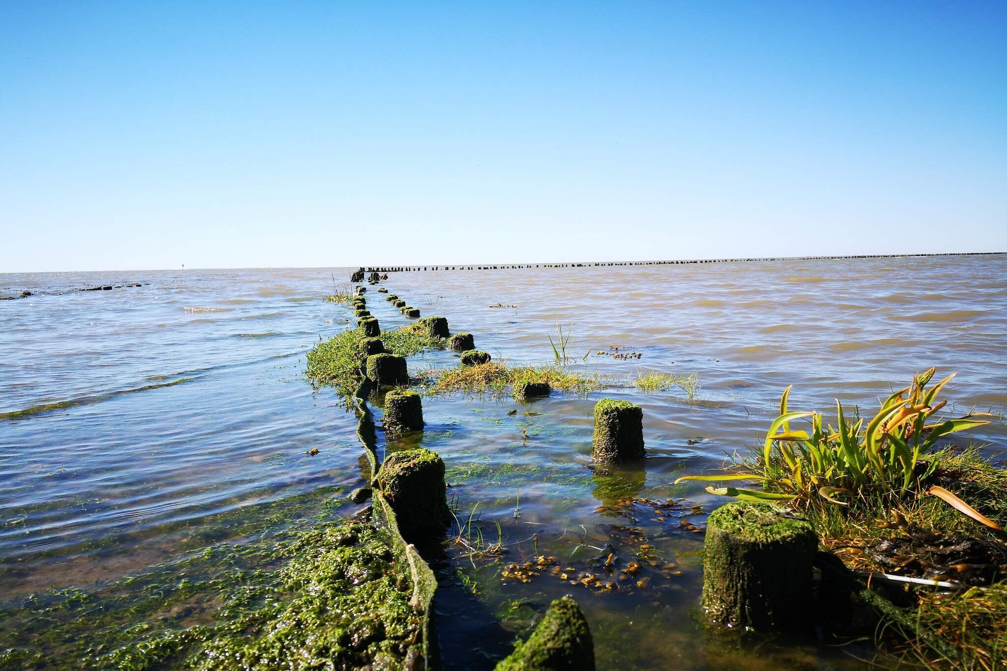 Water View