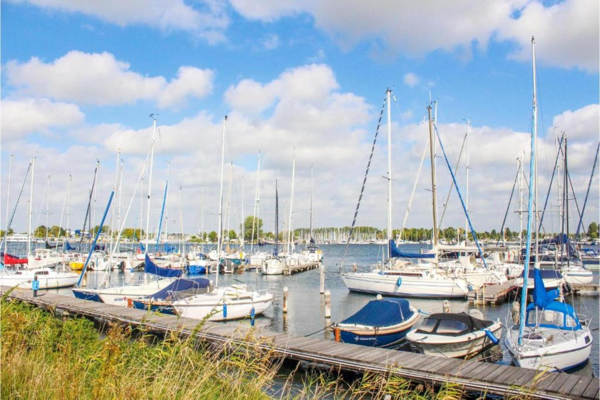 Suite Cotton-Gebieden zomer 20km