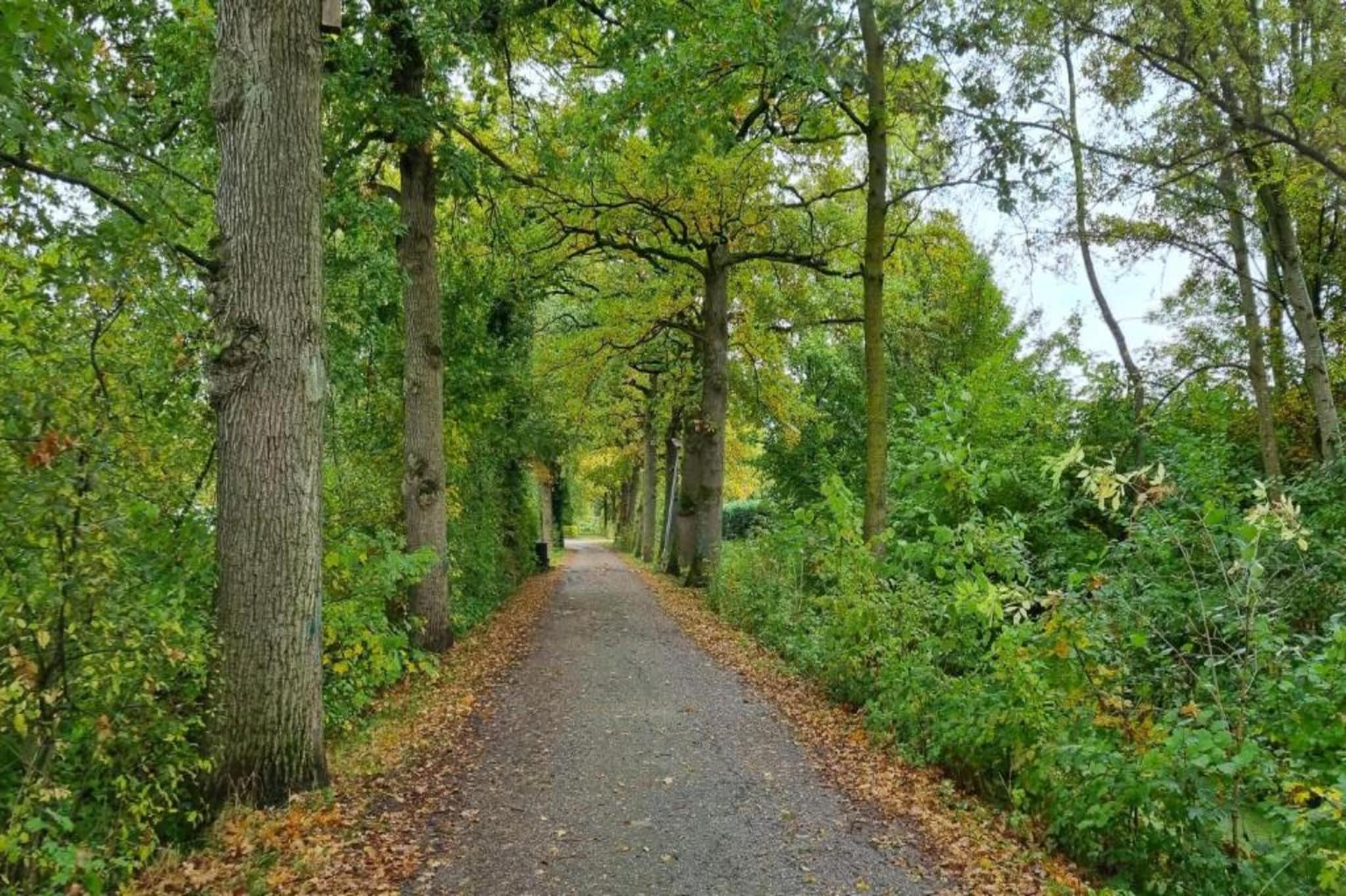 Vakantiepark 't Broeckhuys 2-Areas summer 20km