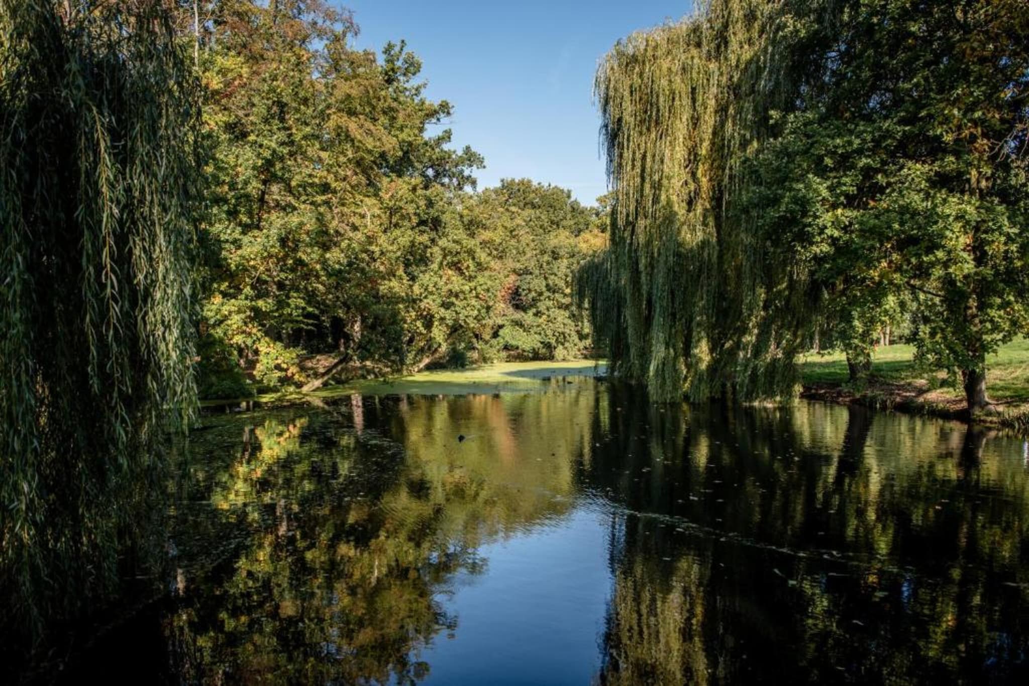 Vakantiepark 't Broeckhuys 2-Areas summer 20km