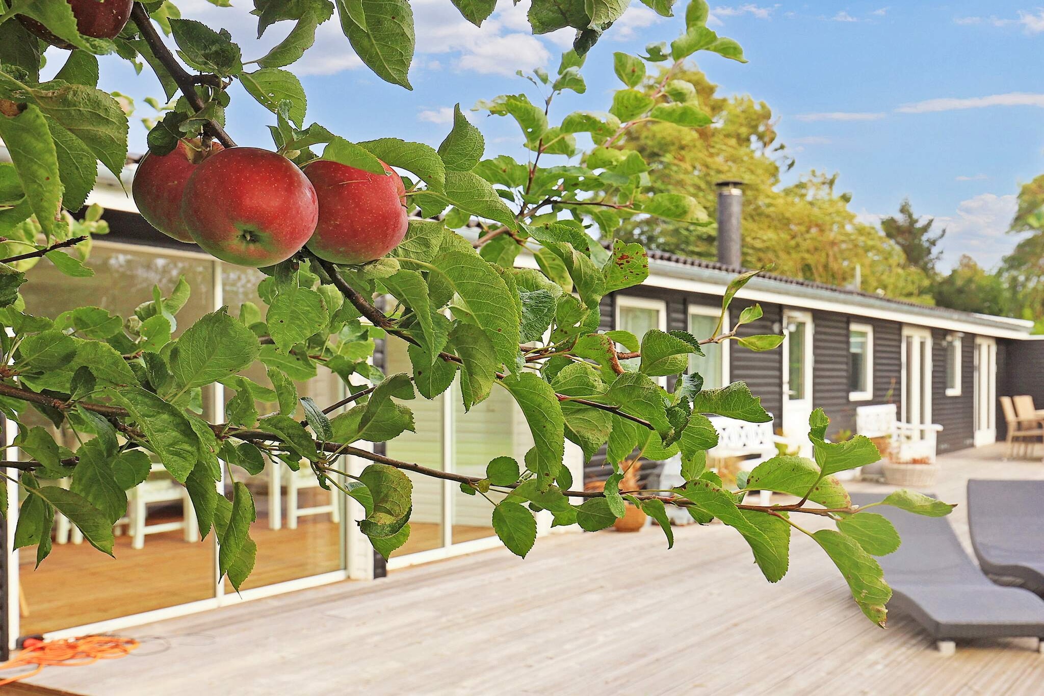 4 Sterne Ferienhaus in Stege-By Traum