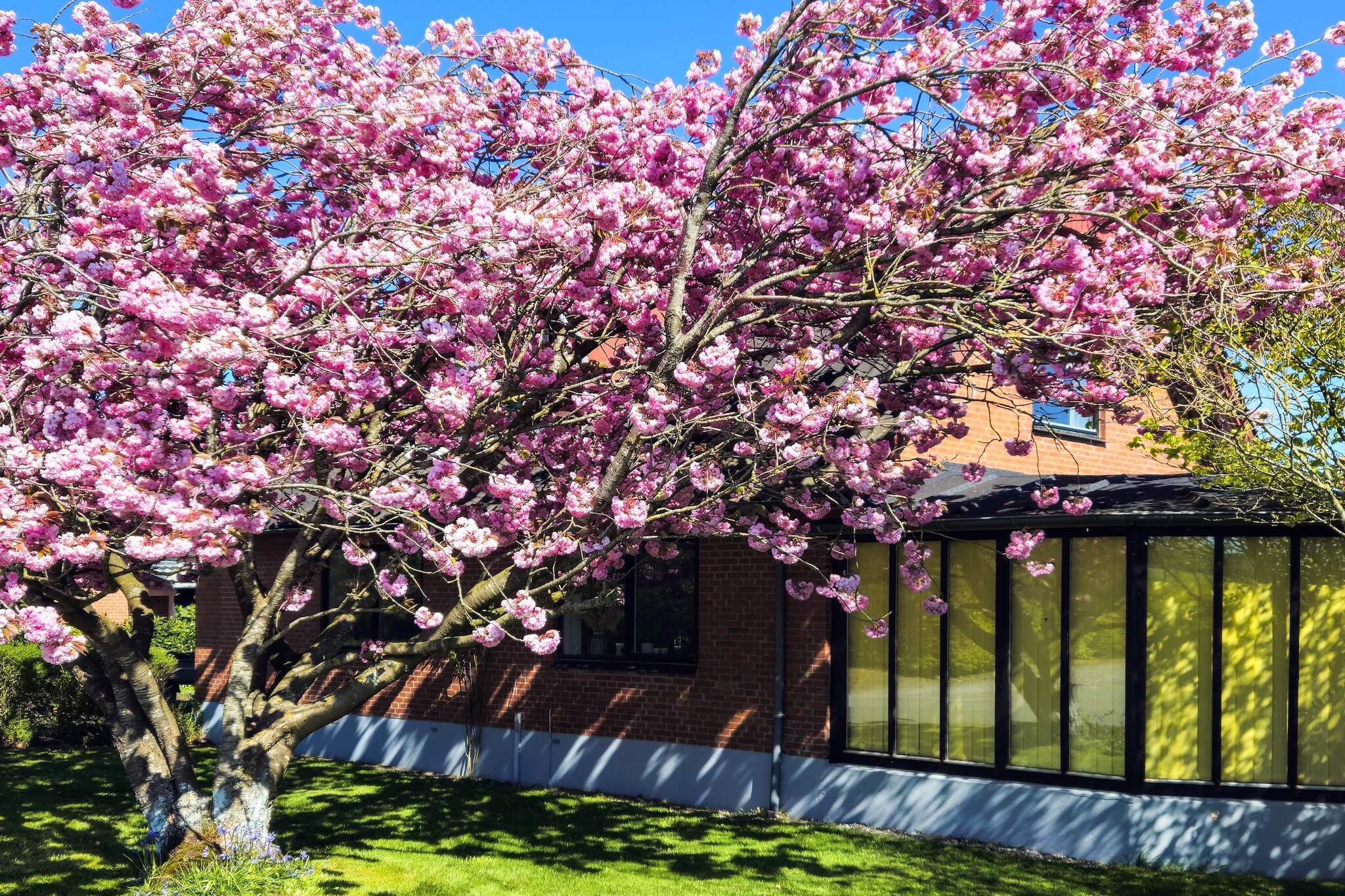 Kitchen(cooker(2 ring stoves), coffee machine, oven, microwave, fridge, freezer(1-59L)), Living/bed room(TV(german television channels, danish TV channels (DR1 and TV2), norvegian TV channels , swedish TV channels), chromecast), bedroom(double bed), bedroom(double bed), bedroom(double bed), bedroom(double bed), bathroom(tumble dryer, washbasin, shower, toilet, washing machine), TV(german television channels, danish TV channels (DR1 and TV2), norvegian TV channels , swedish TV channels), heating(electric), garden, garden furniture