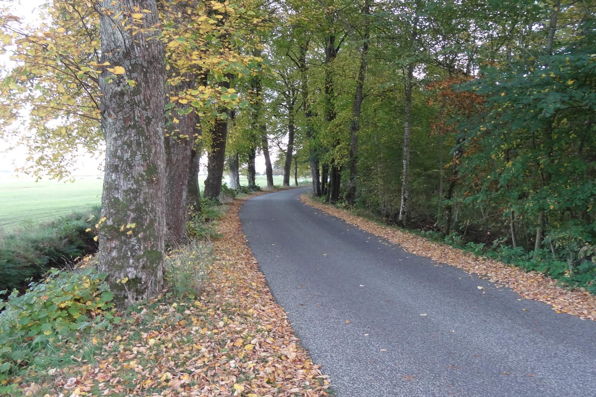 Maison de vacances pour 8 a Øster Assels-By Traum-Non tagué