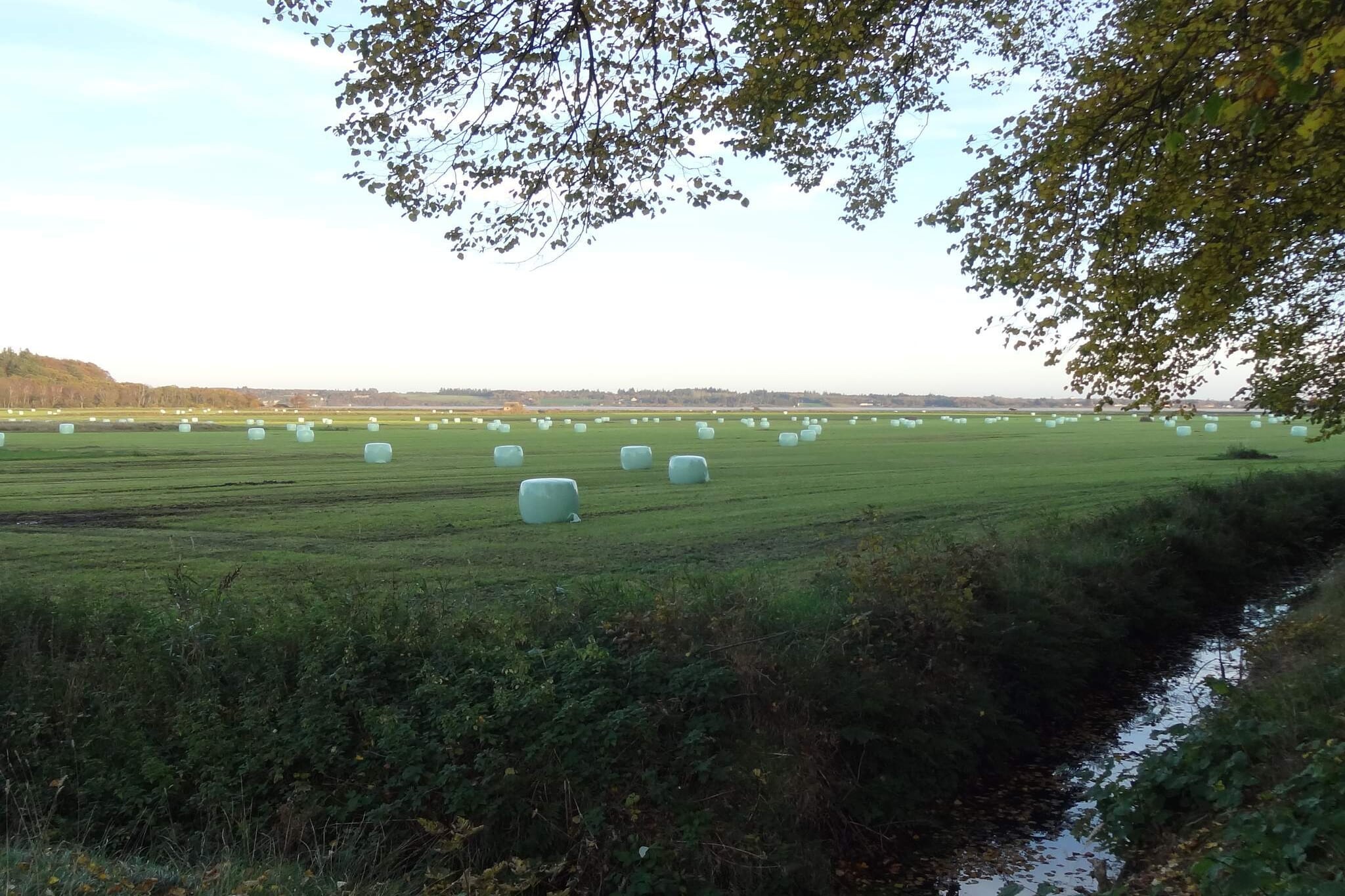 Maison de vacances pour 8 a Øster Assels-By Traum-Non tagué