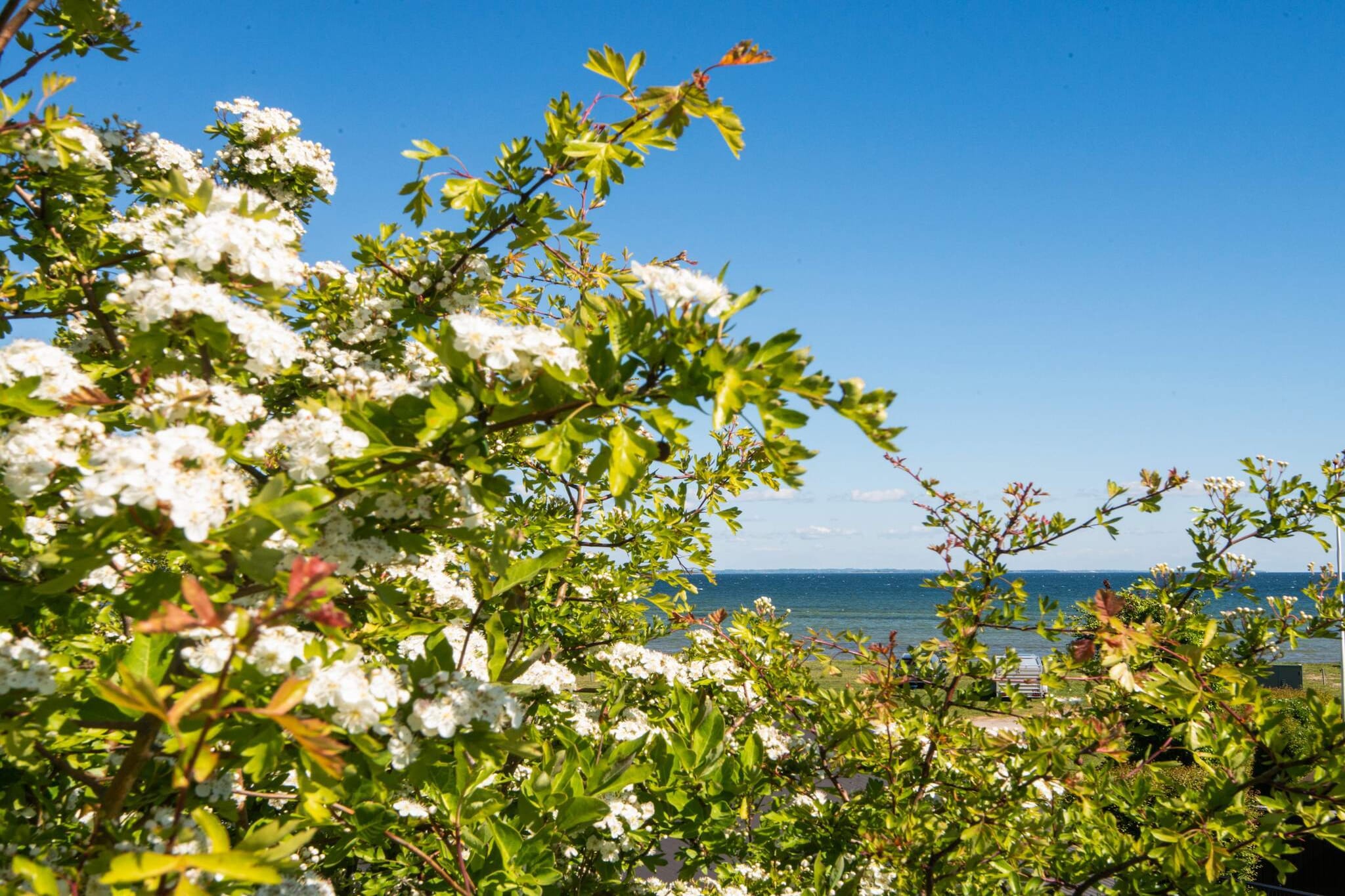 4 Sterne Ferienhaus in Hejls-Wasserblick