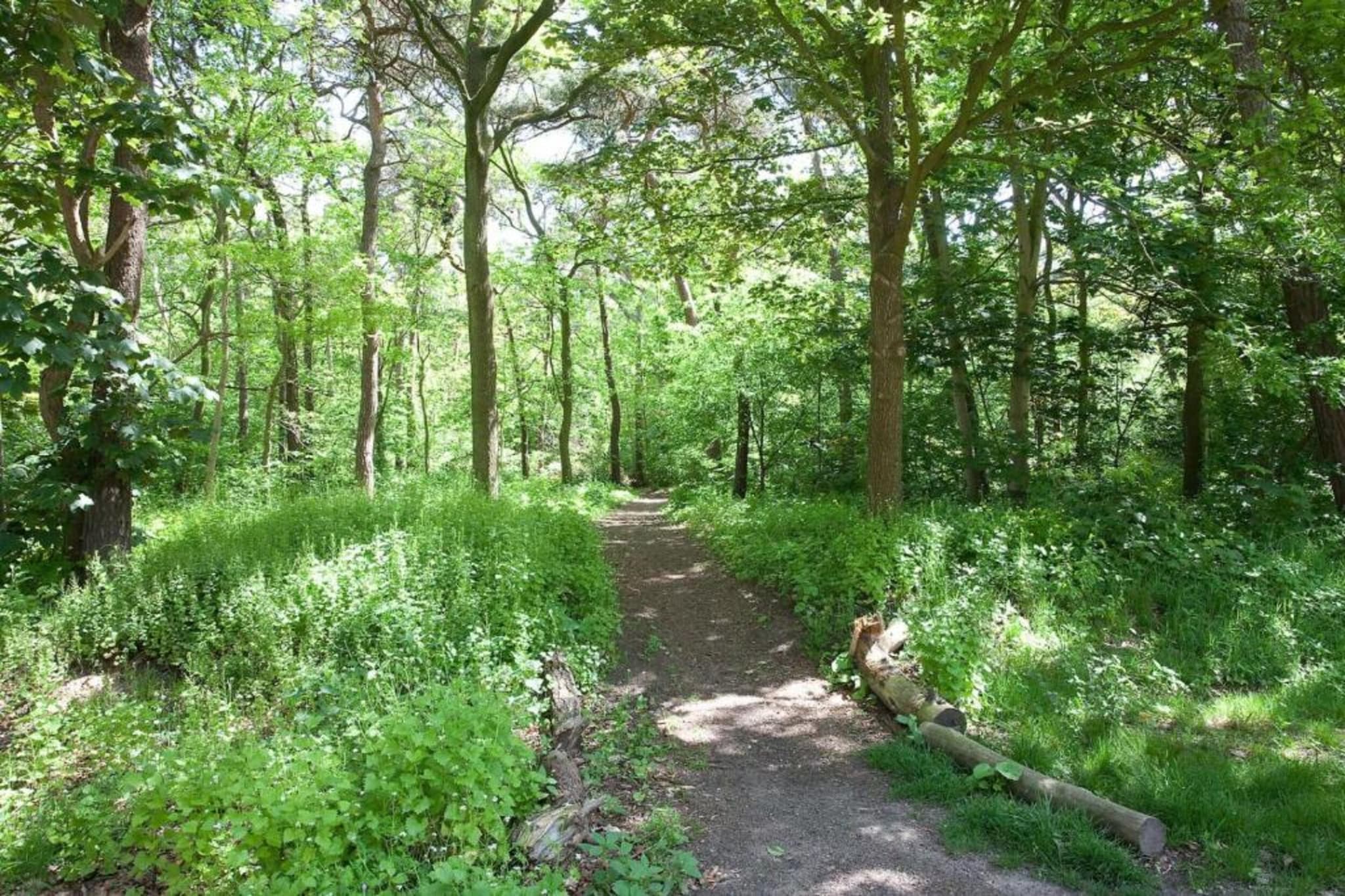 Vakantiepark de Katjeskelder 24-Gebieden zomer 5km