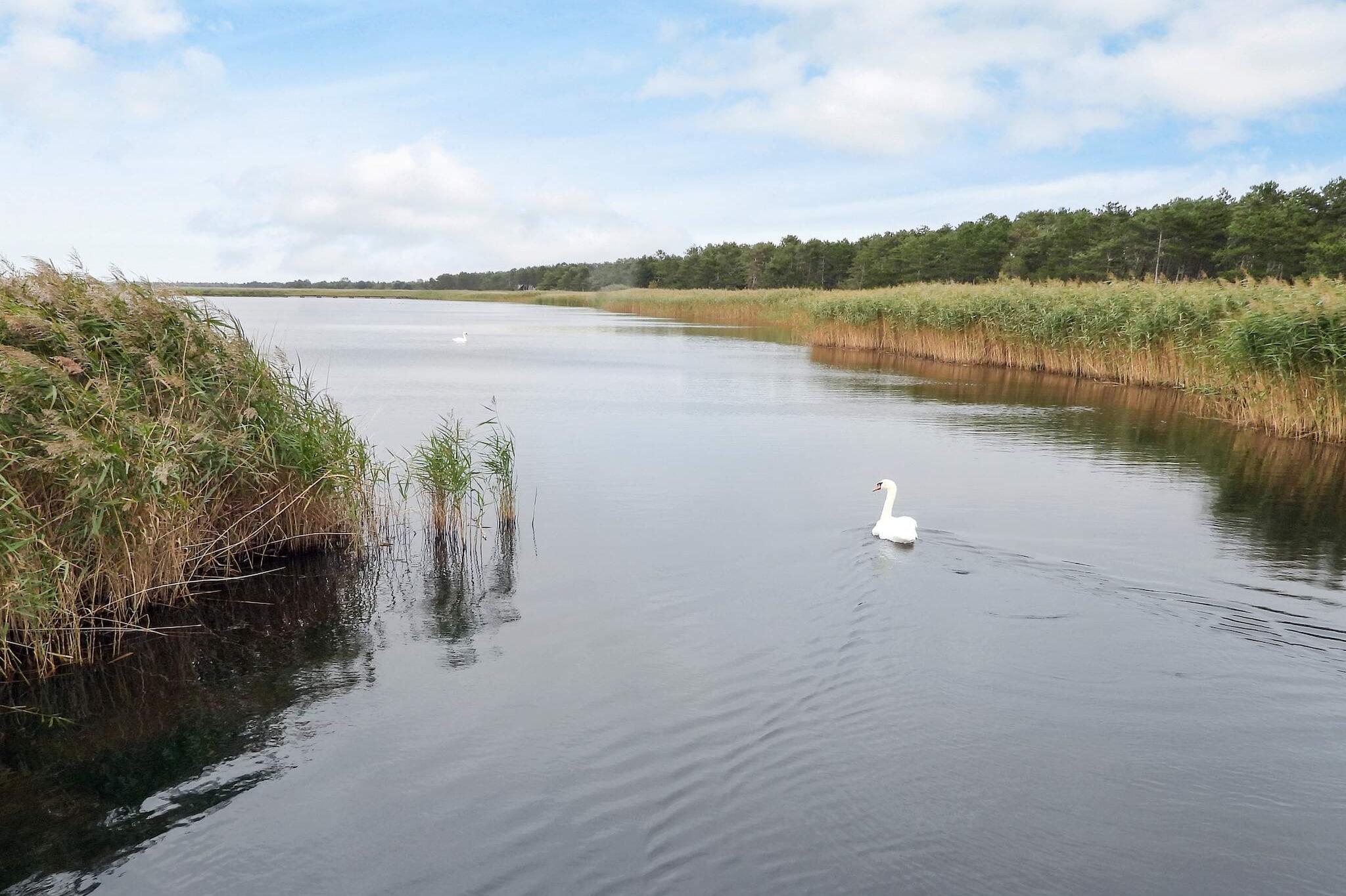 5 Sterne Ferienhaus in Vig-By Traum - Wasserblick