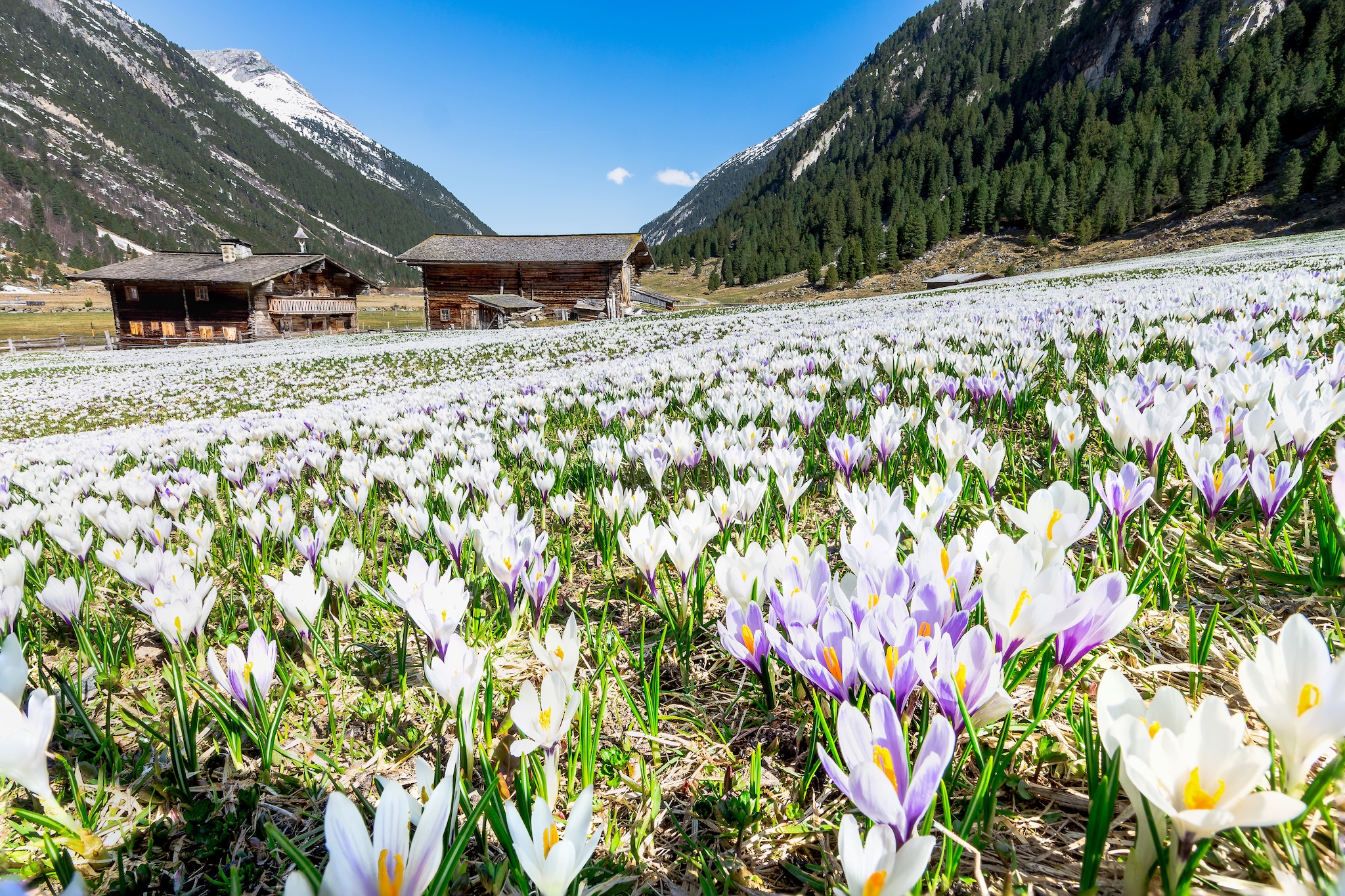 Austria