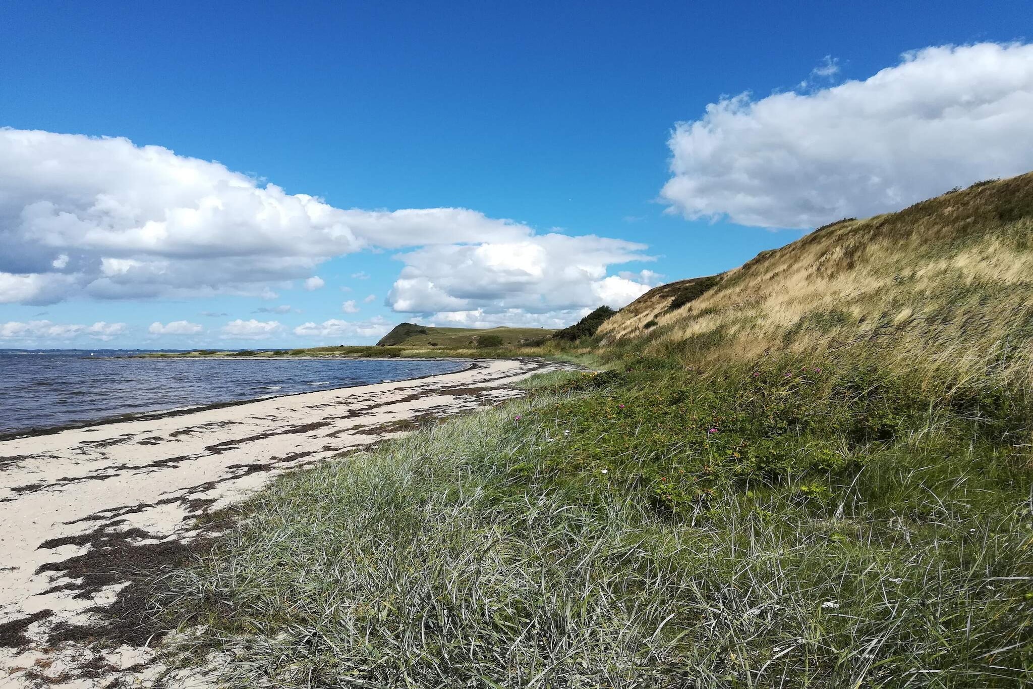 Maison de vacances pour 6 a Skals-By Traum-Vue sur l'eau
