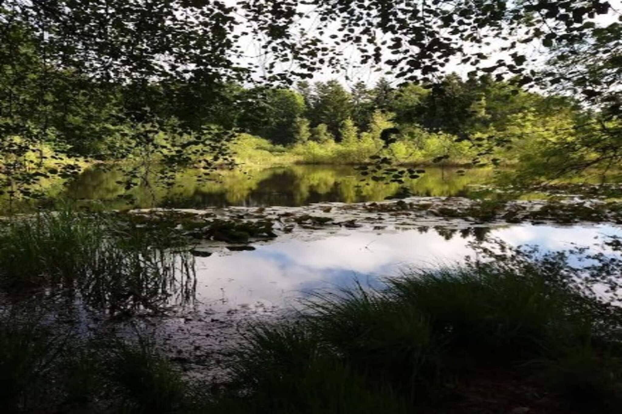 Kitchen(stove(induction), oven, dishwasher, fridge(+ freezer)), Living/bed room(TV(danish TV channels (DR1 and TV2))), bedroom(double bed), bedroom(double folding bed), bedroom(double folding bed), bathroom(tumble dryer, washbasin, shower, toilet, washing machine), bath tub(outside, heated, 4 persons), heating(electric), garden furniture, sun loungers, air to air heatpump