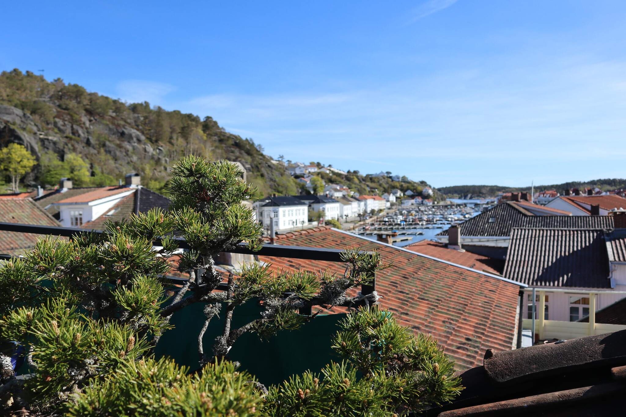 Maison de vacances pour 5 a Risør-By Traum - Vue sur l'eau