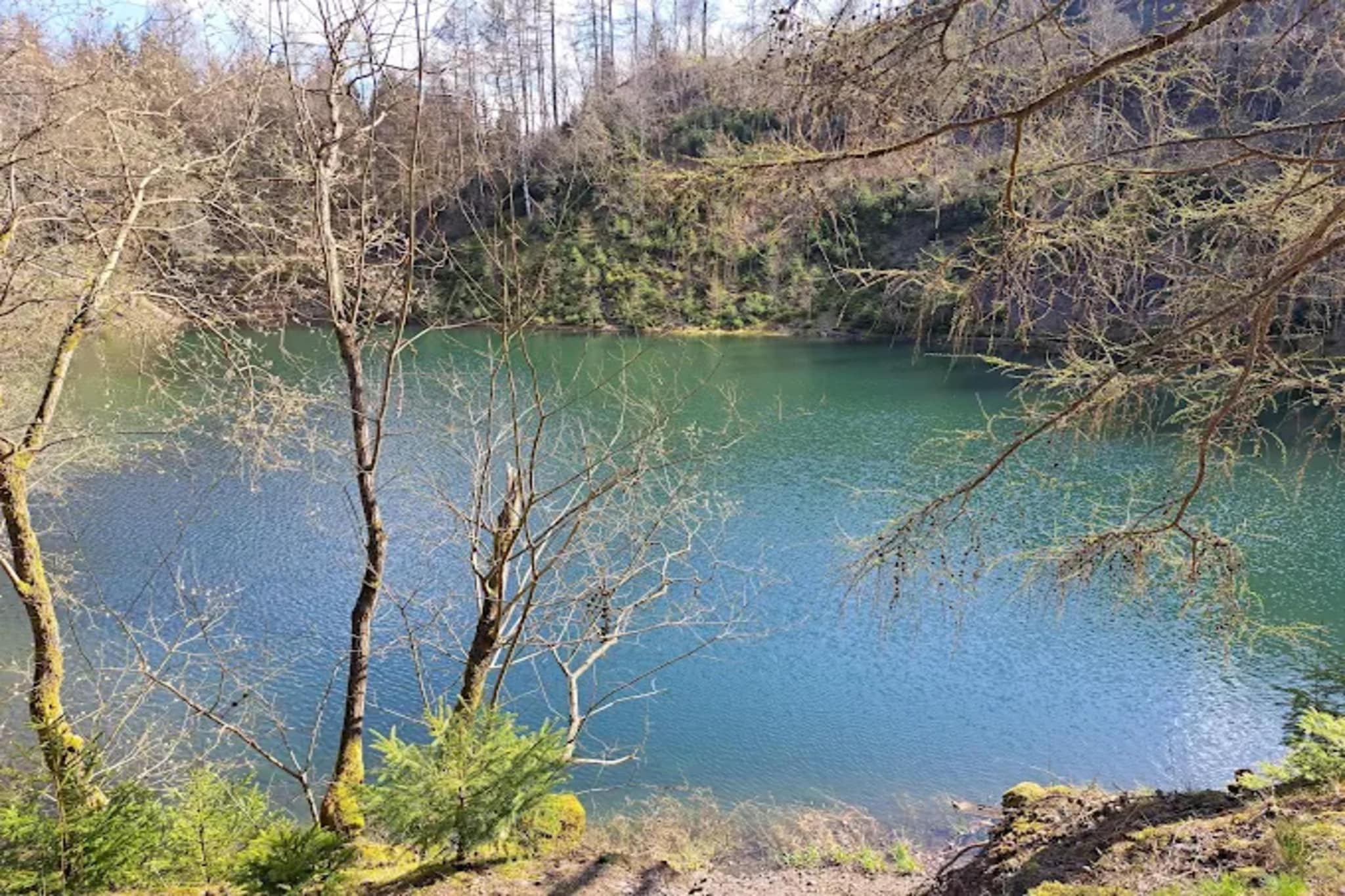 Ferienapartment Frosch in Wildemann Harz-Gebieden zomer 5km