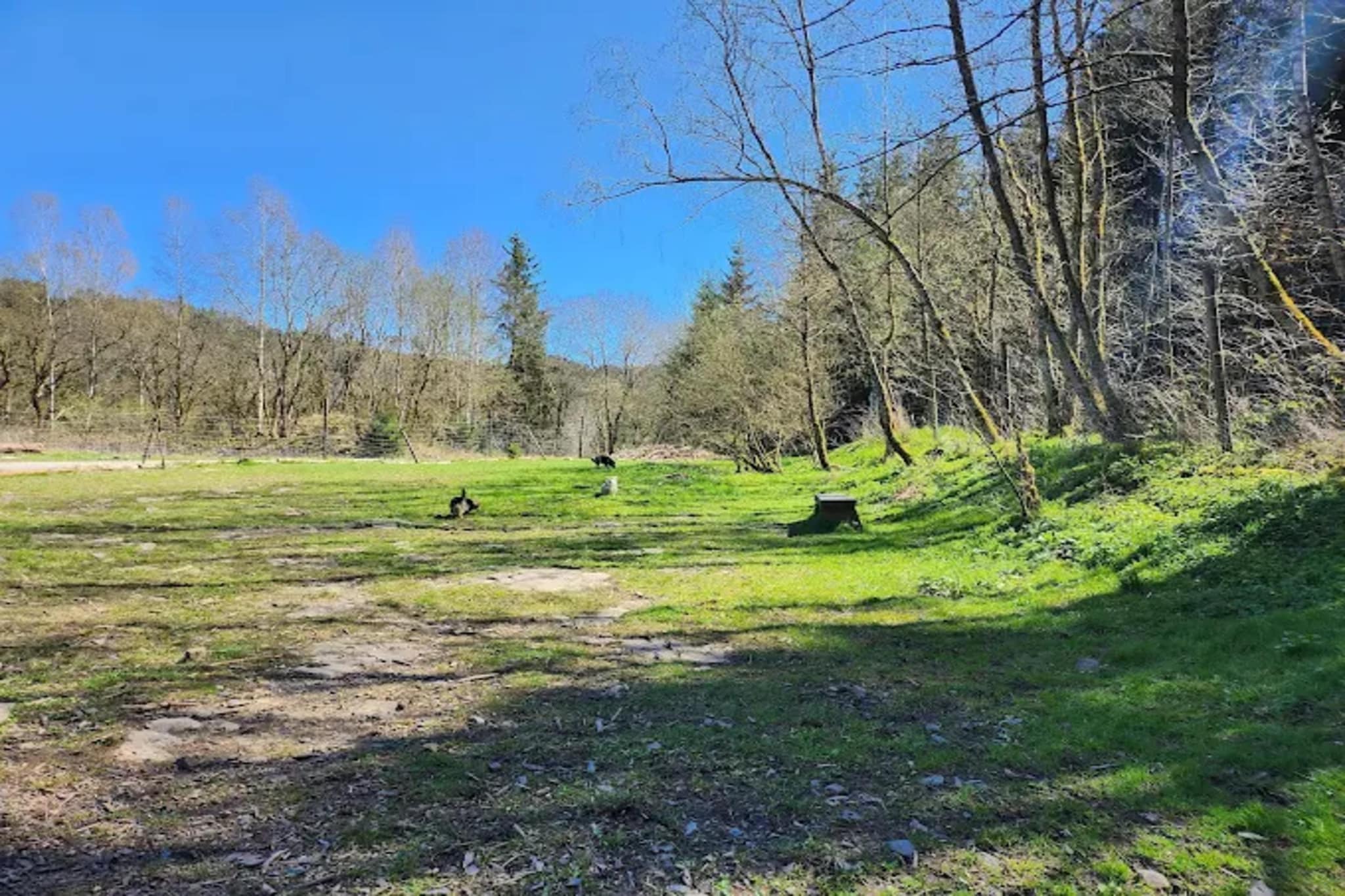 Ferienapartment Frosch in Wildemann Harz-Gebieden zomer 5km