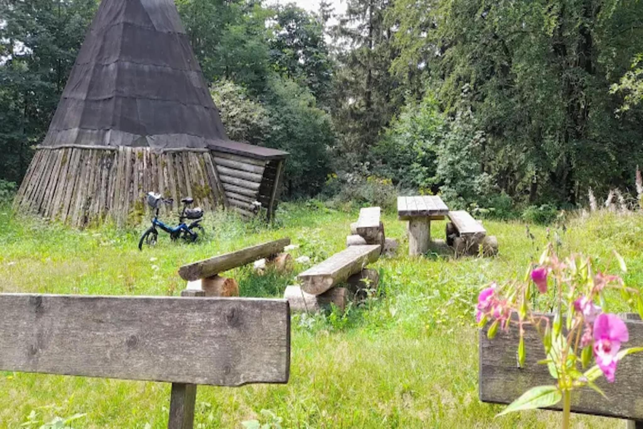 Ferienapartment Frosch in Wildemann Harz-Gebieden zomer 5km
