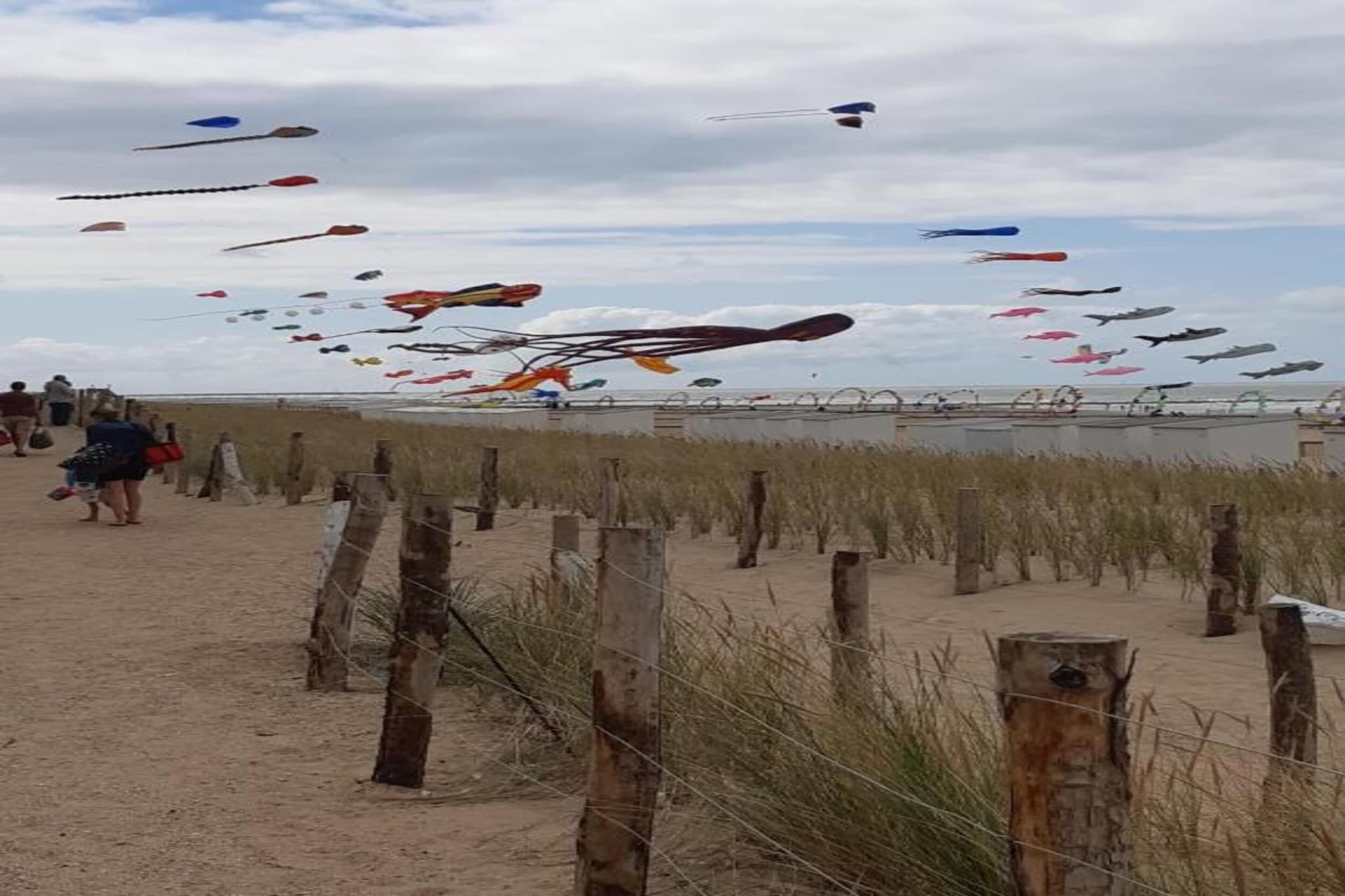 HUIZE NOORDZEE / 0602-Gebieden zomer 20km
