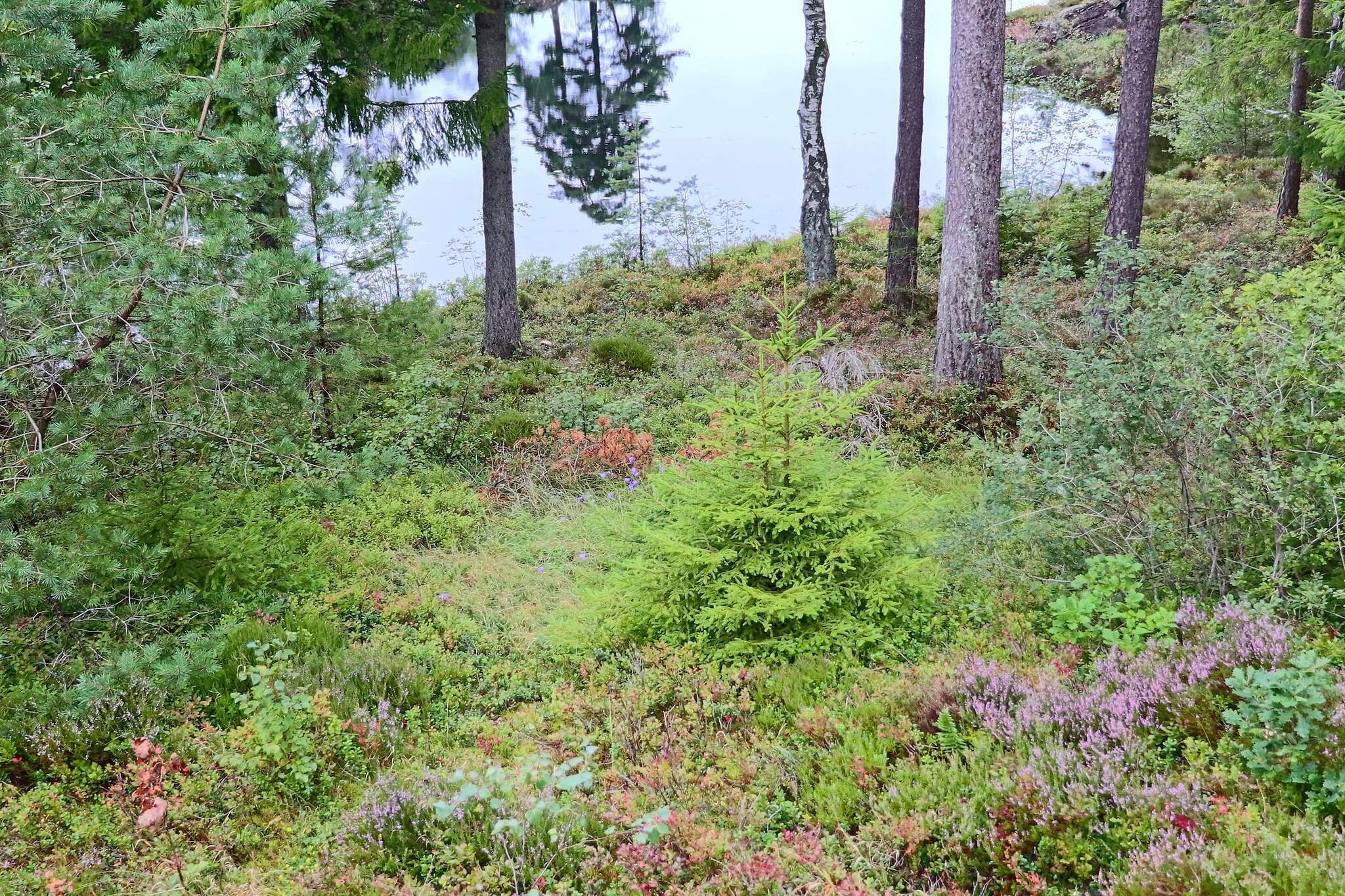 4 Personen Ferienhaus in Fjärås-By Traum - Nicht zugeordnet