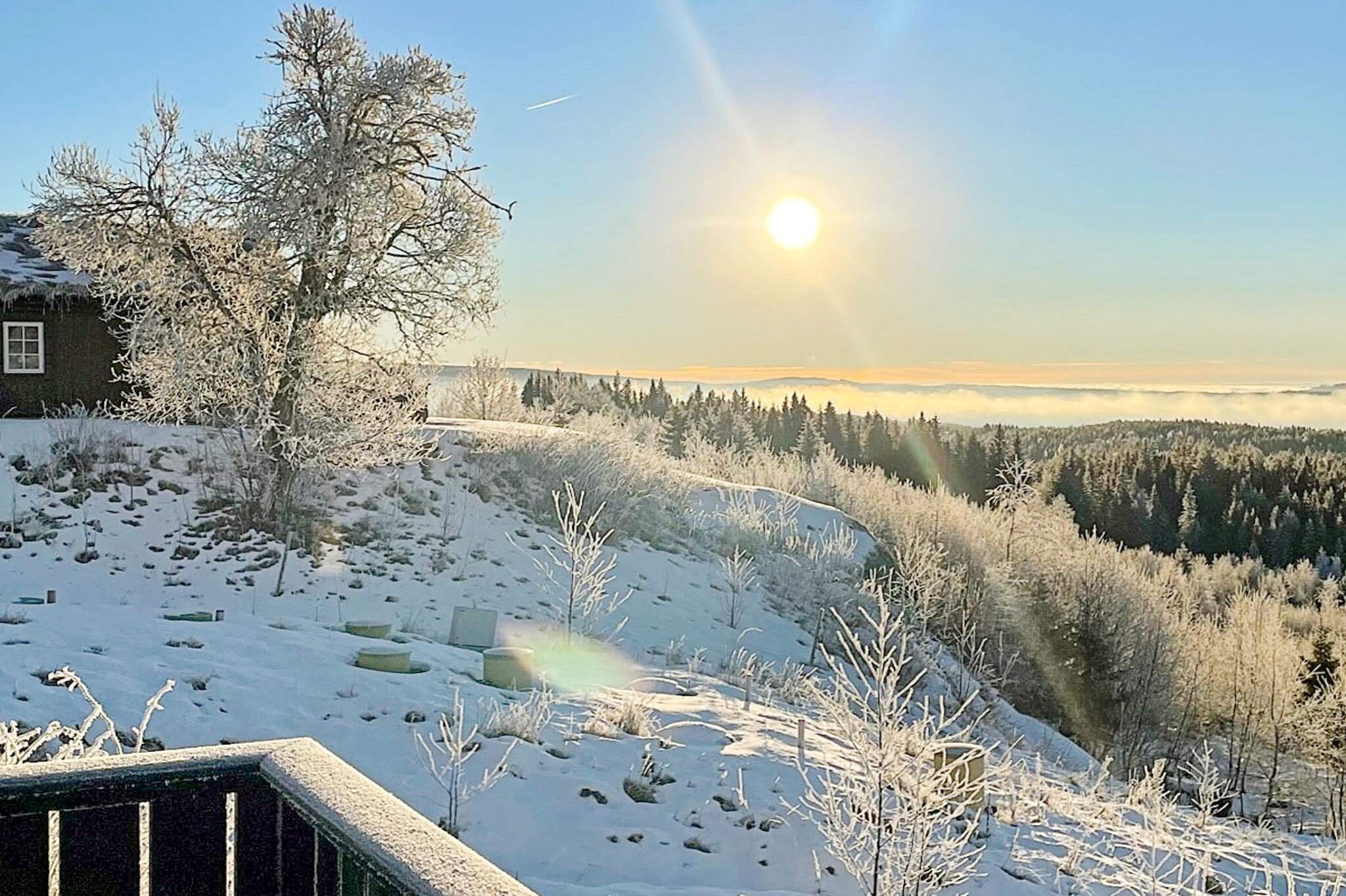 4 sterren vakantie huis in Fall-By Traum - Buitenlucht