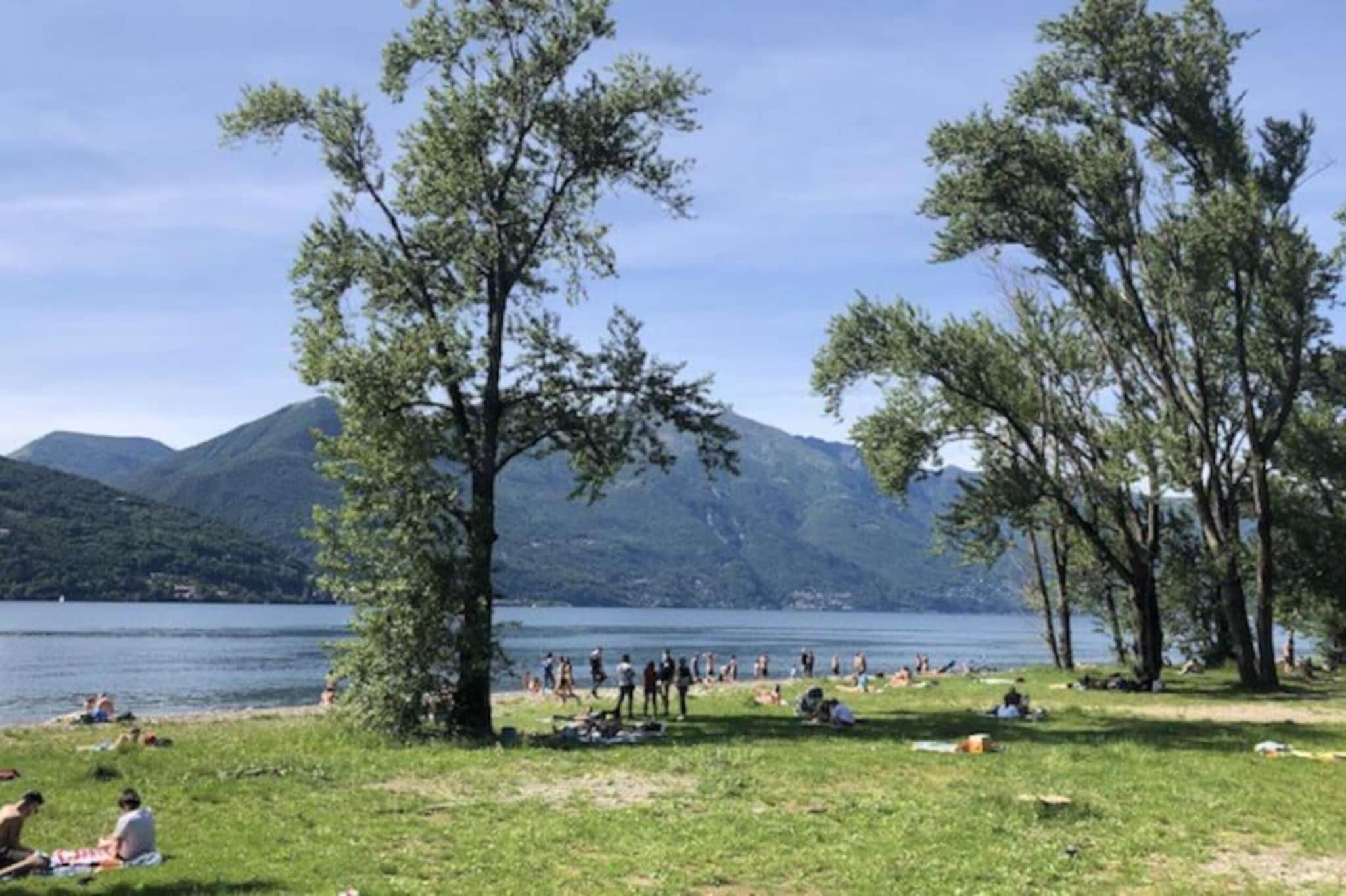 BOS03/3-Gebieden zomer 20km