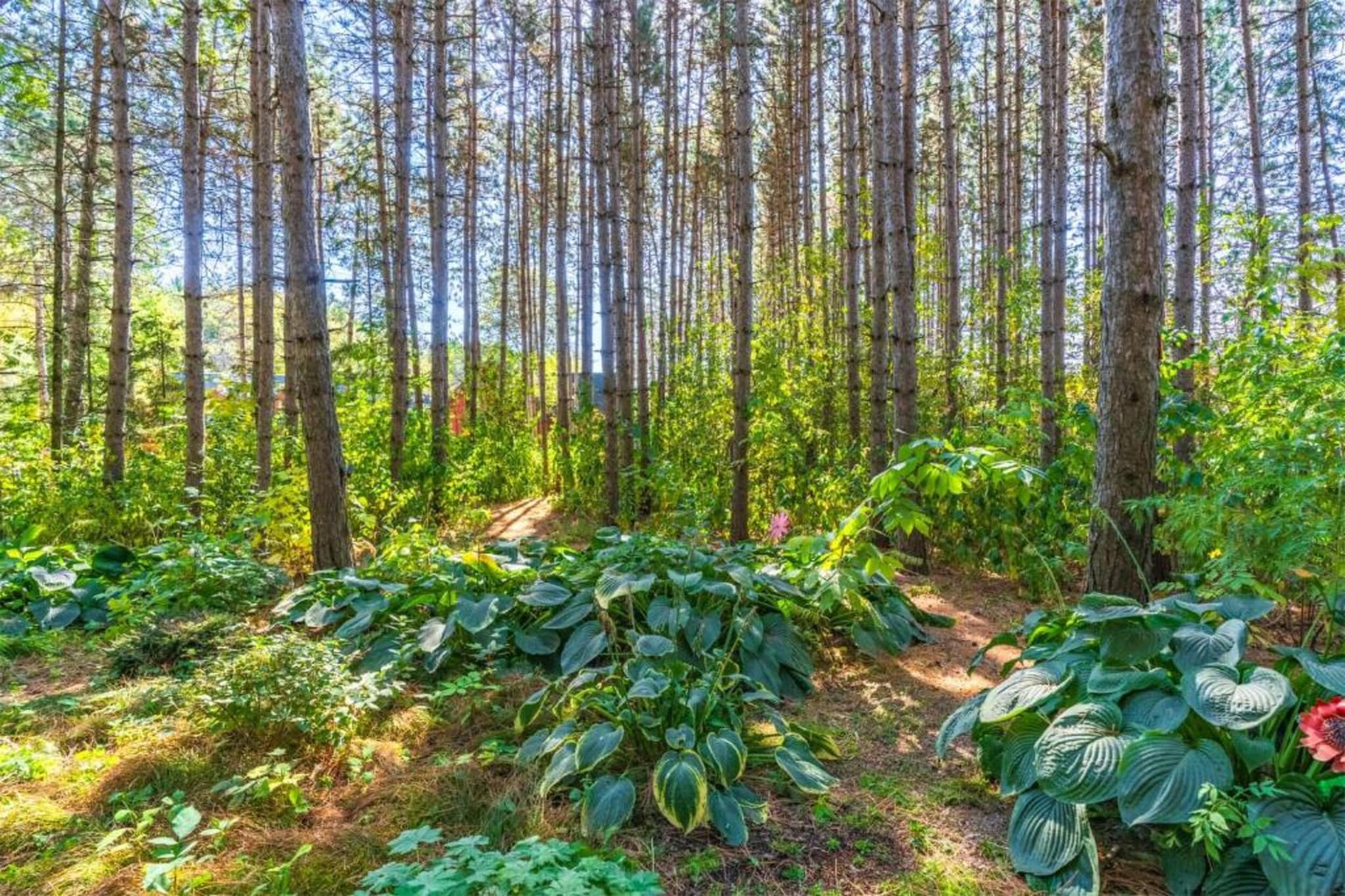 Boerenhof I-Gebieden zomer 20km
