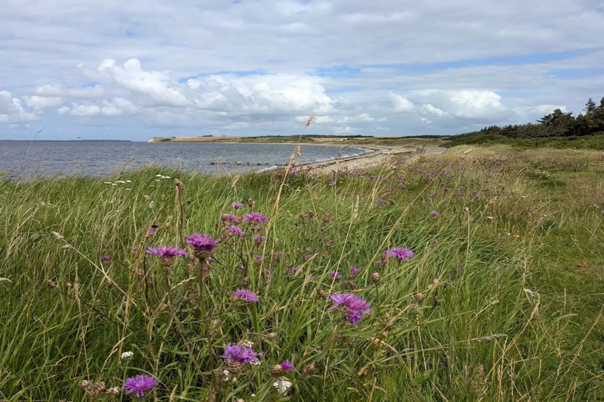 6 persoons vakantie huis in Nykøbing M-By Traum - Waterzicht