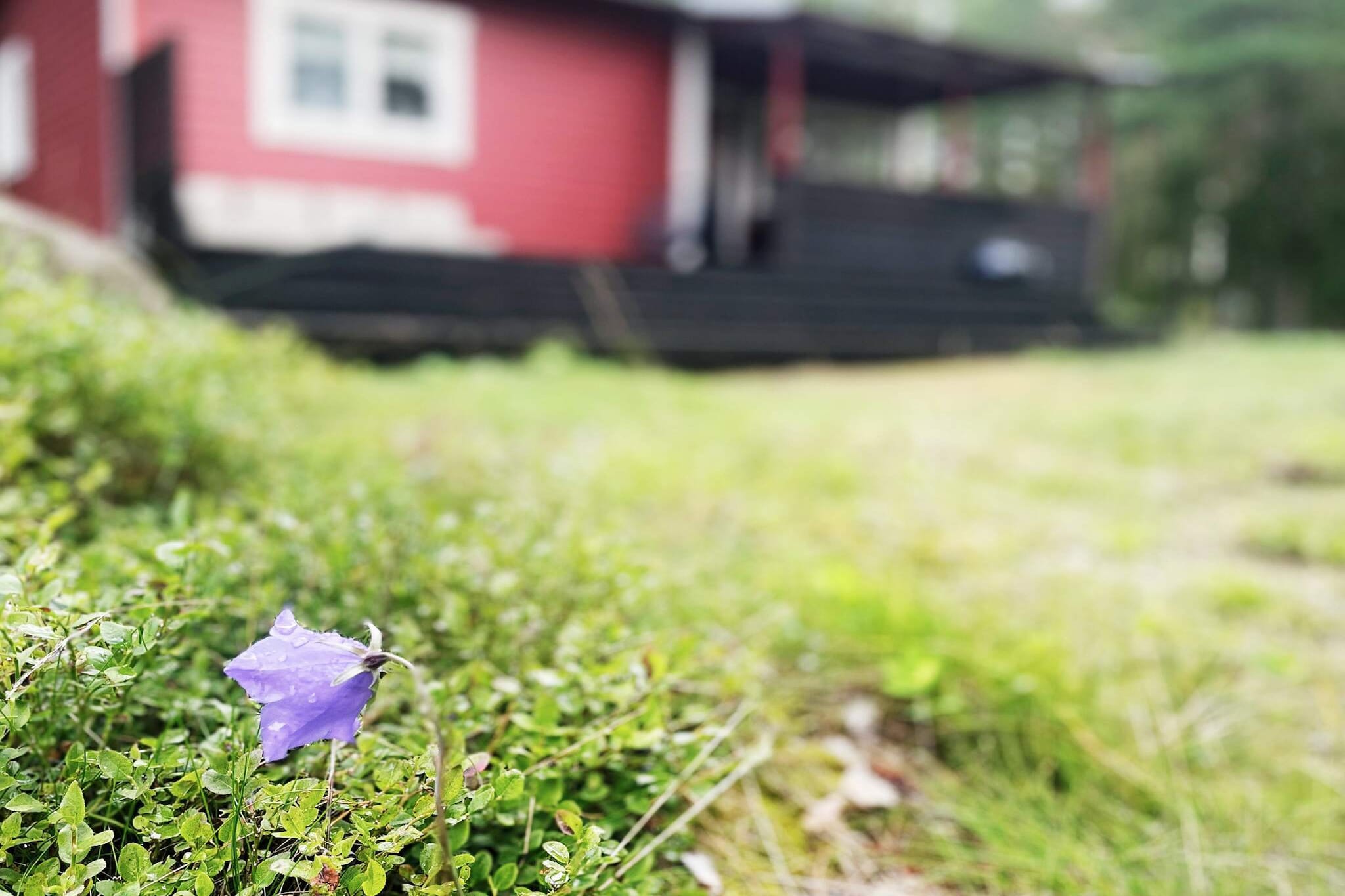 Outdoor