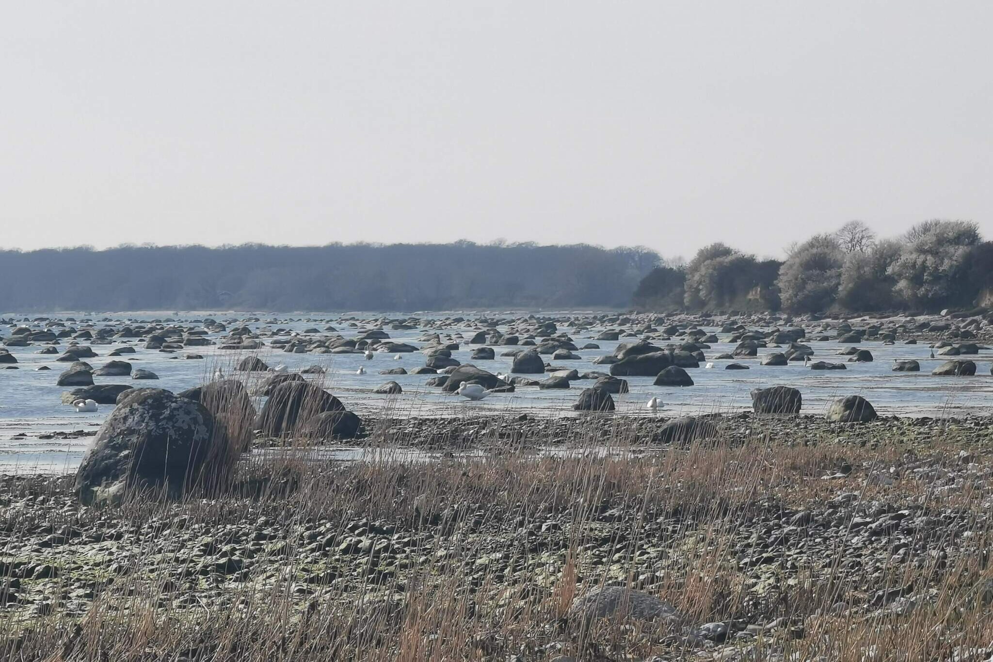 6 person holiday home in Rødvig Stevns-By Traum-Water view